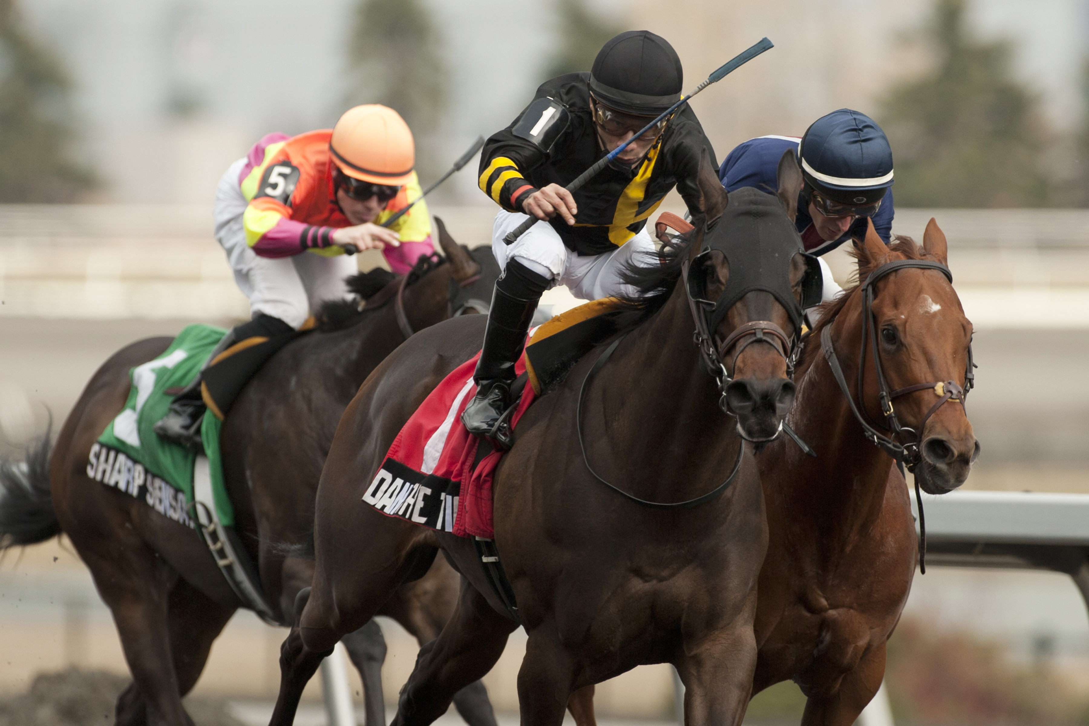 Dan the Tin Man wins the Jacques Cartier Stakes