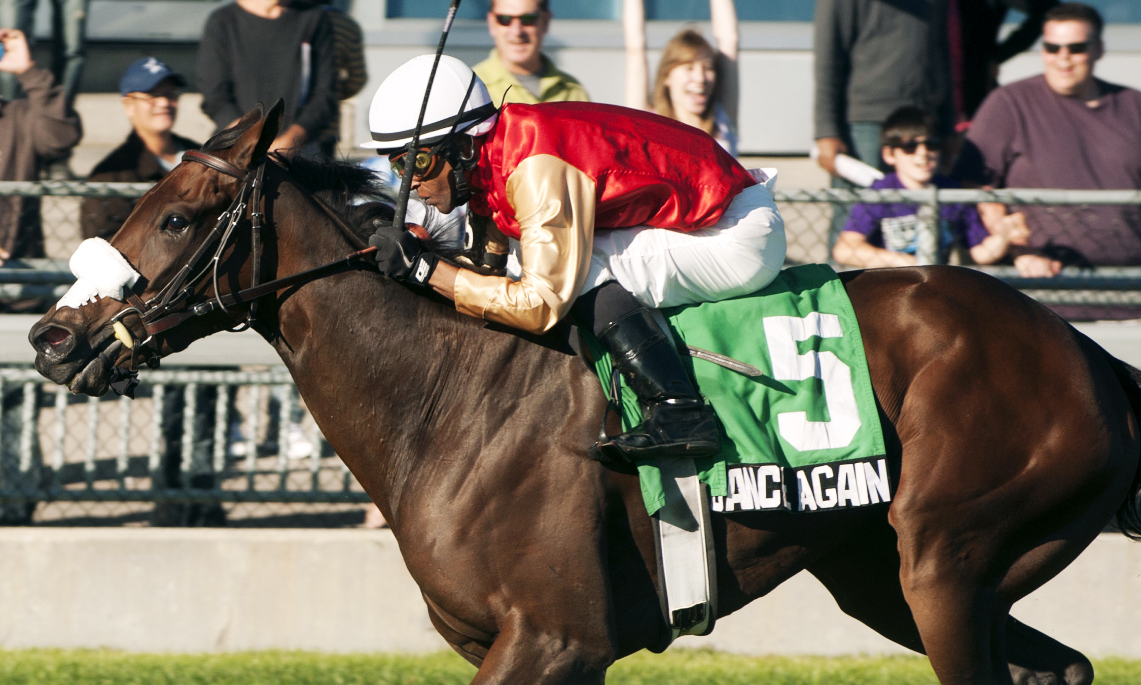 Dance Again wins the 2013 Carotene Stakes