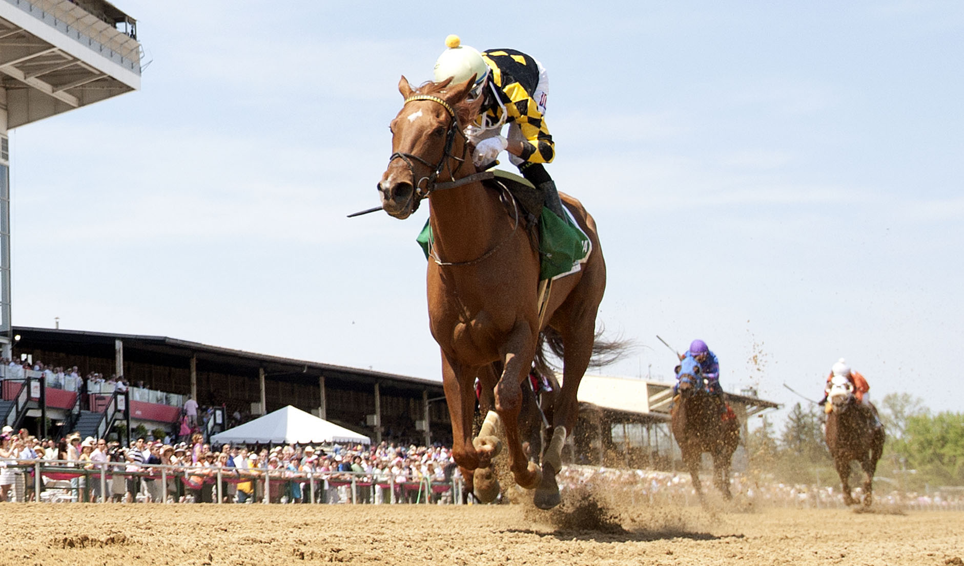 Dance to Bristol, Skipat Stakes