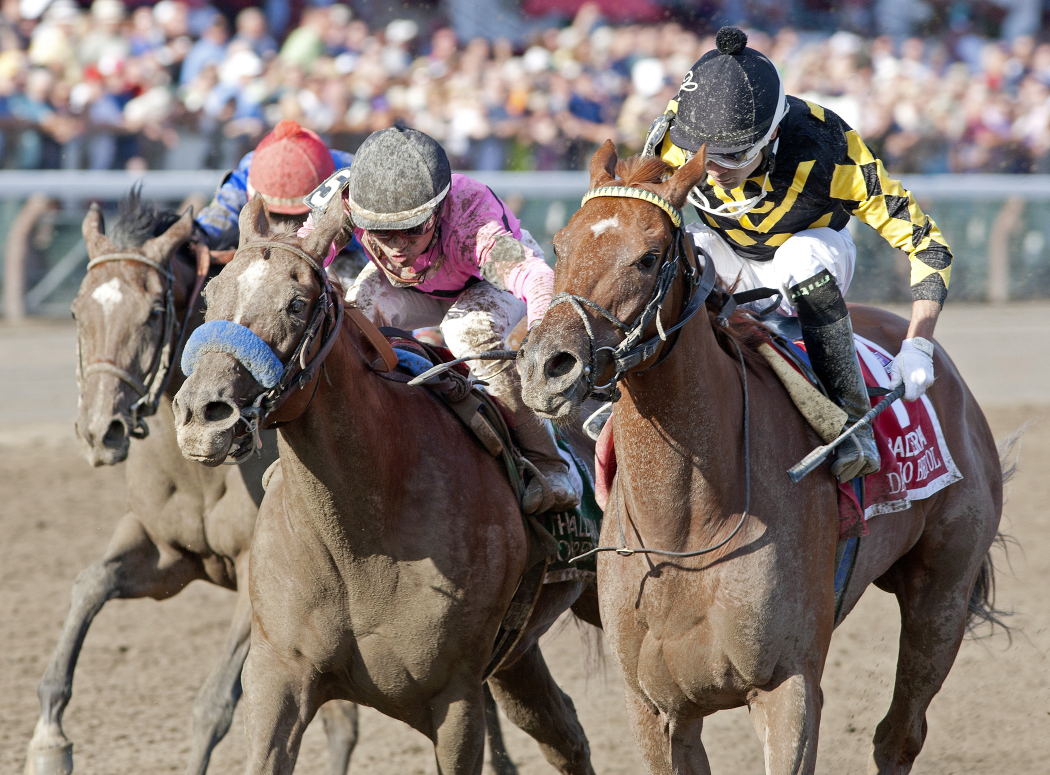 Dance to Bristol, Ballerina Stakes