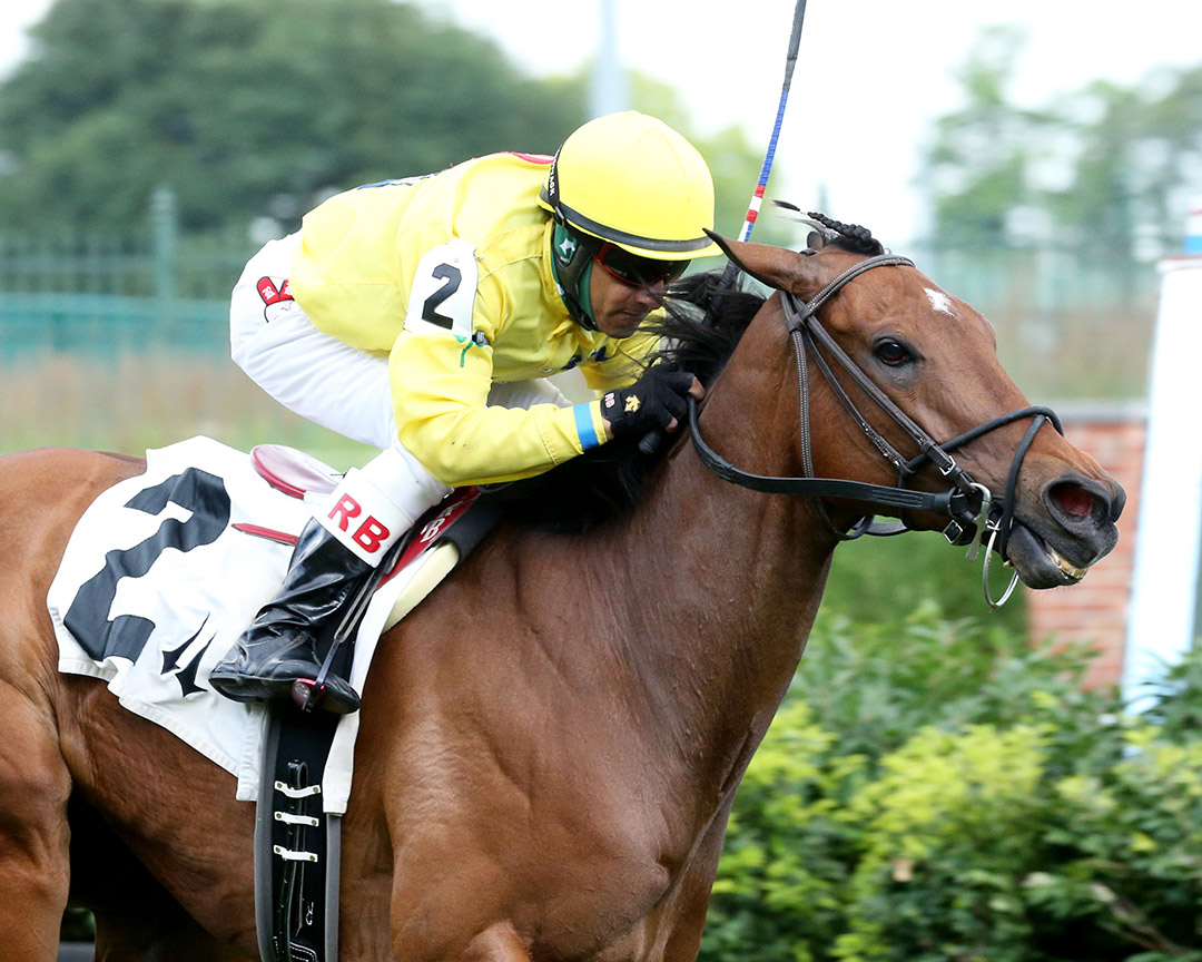Dance Rhythms wins a June 2020 allowance at Churchill Downs