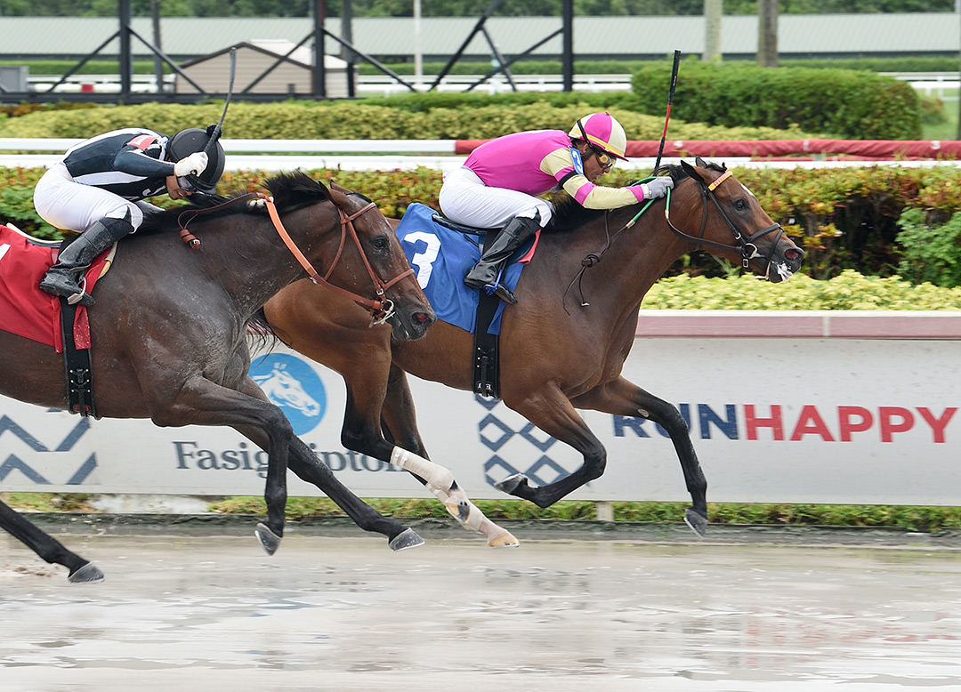 Dance d'Oro wins an August 2020 allowance at Gulfstream