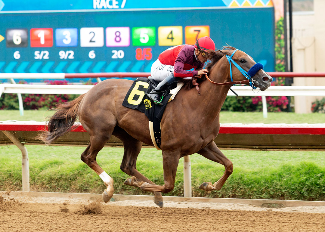 Dance to the Music wins a July 24 maiden race at Del Mar