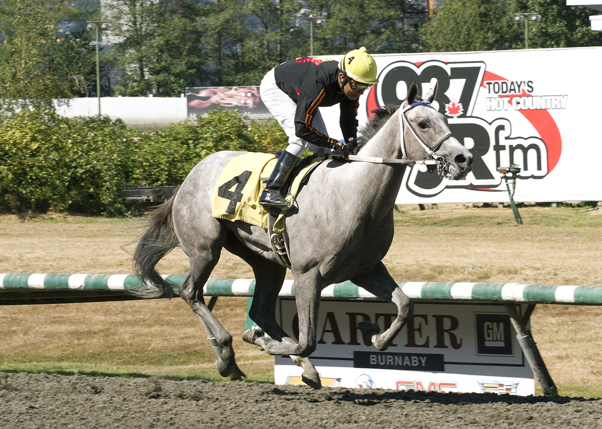 Dancin Shoes wins the 2018 British Columbia Cup Debutante