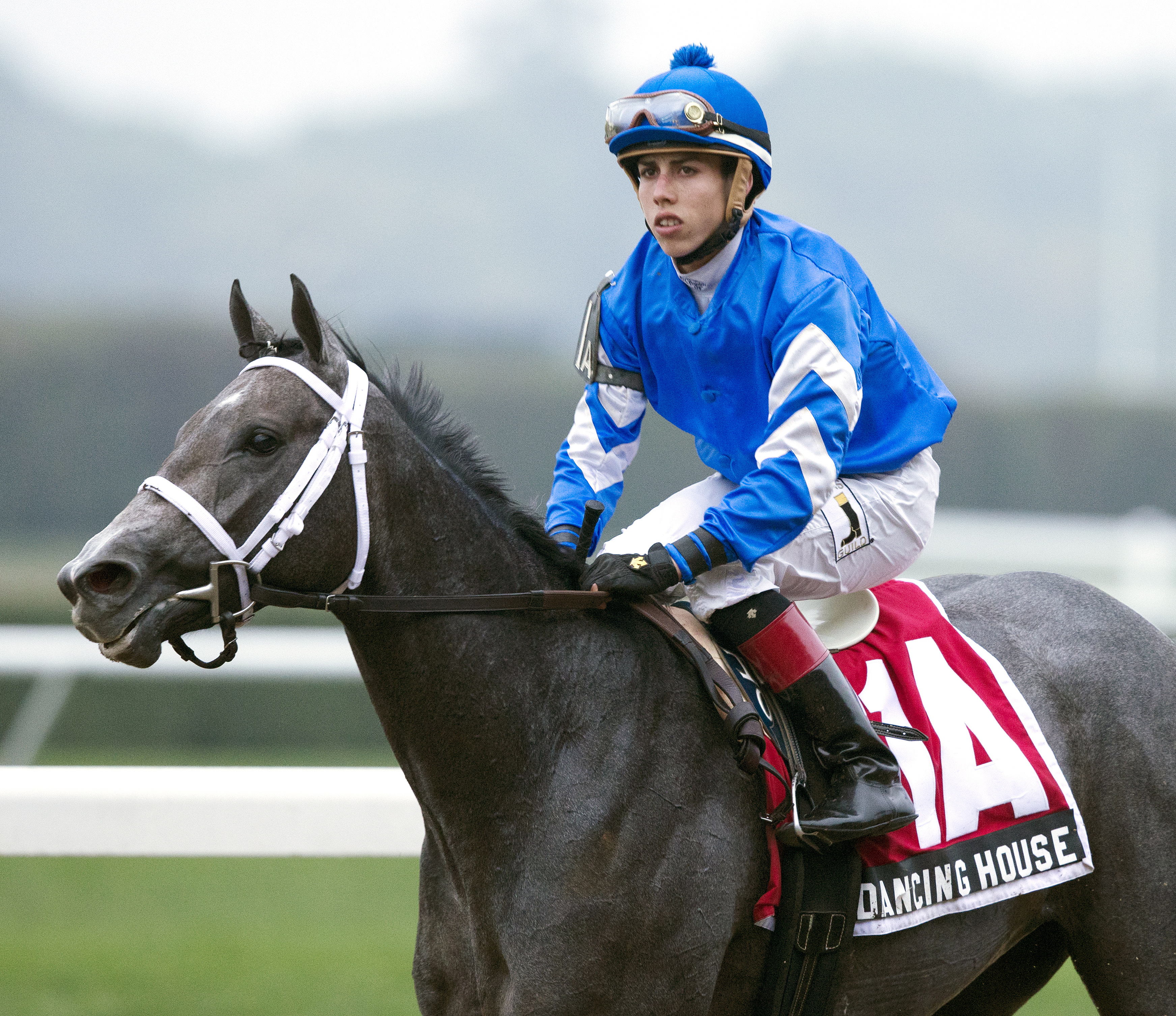 Dancing House after finishing third in the Miss Grillo
