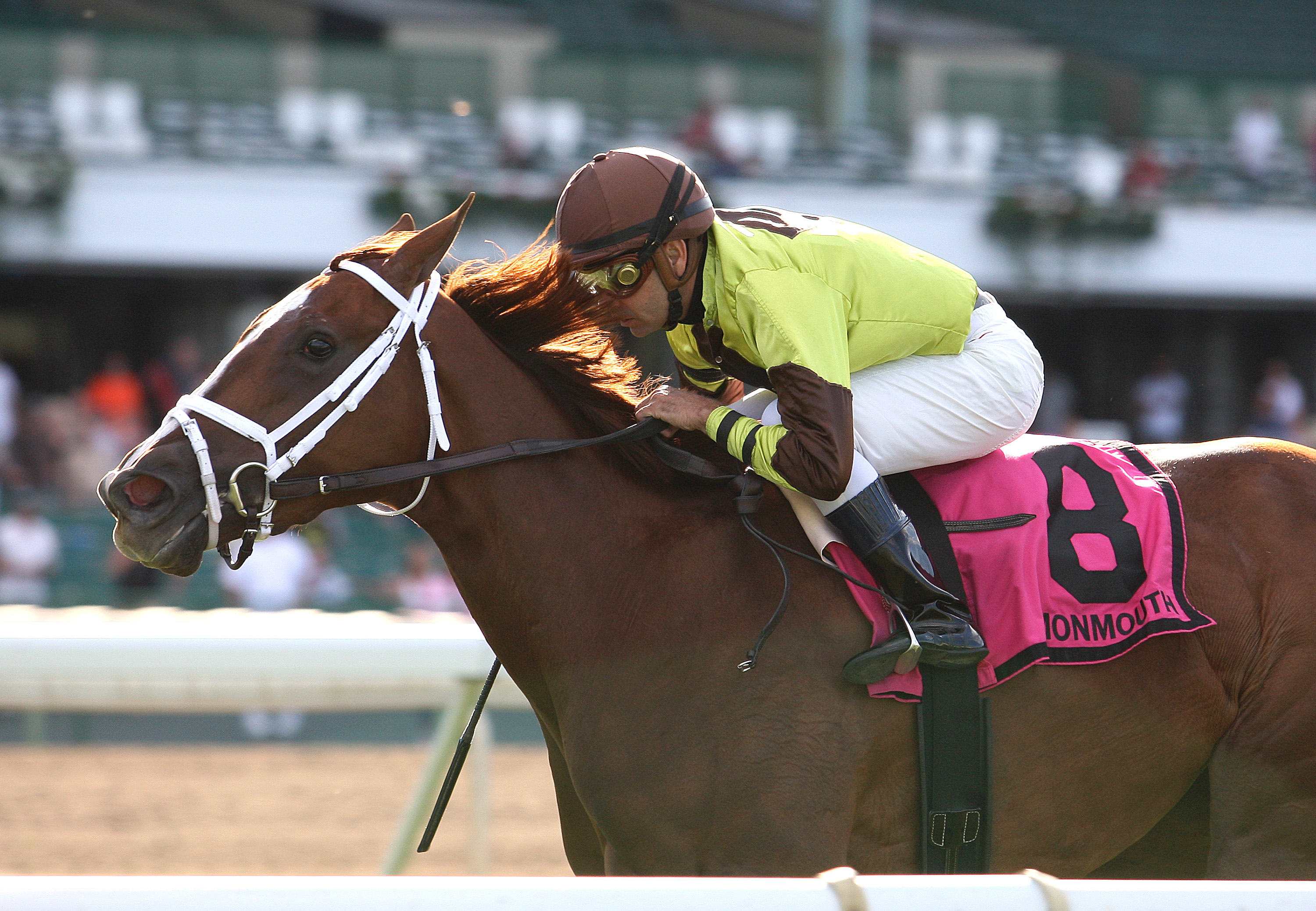 Dancing Solo/Boiling Springs Stakes