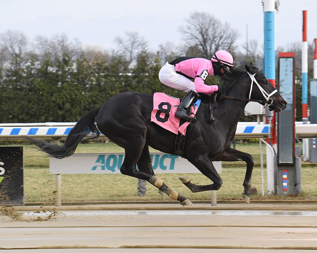 Dancing Buck wins a December 2020 maiden race at Aqueduct