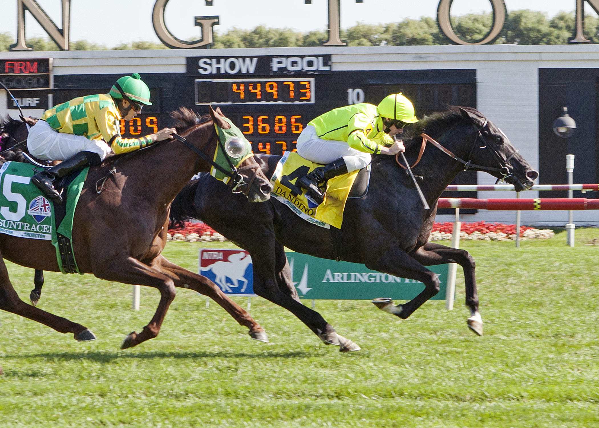 Dandino wins the 2013 American St. Leger