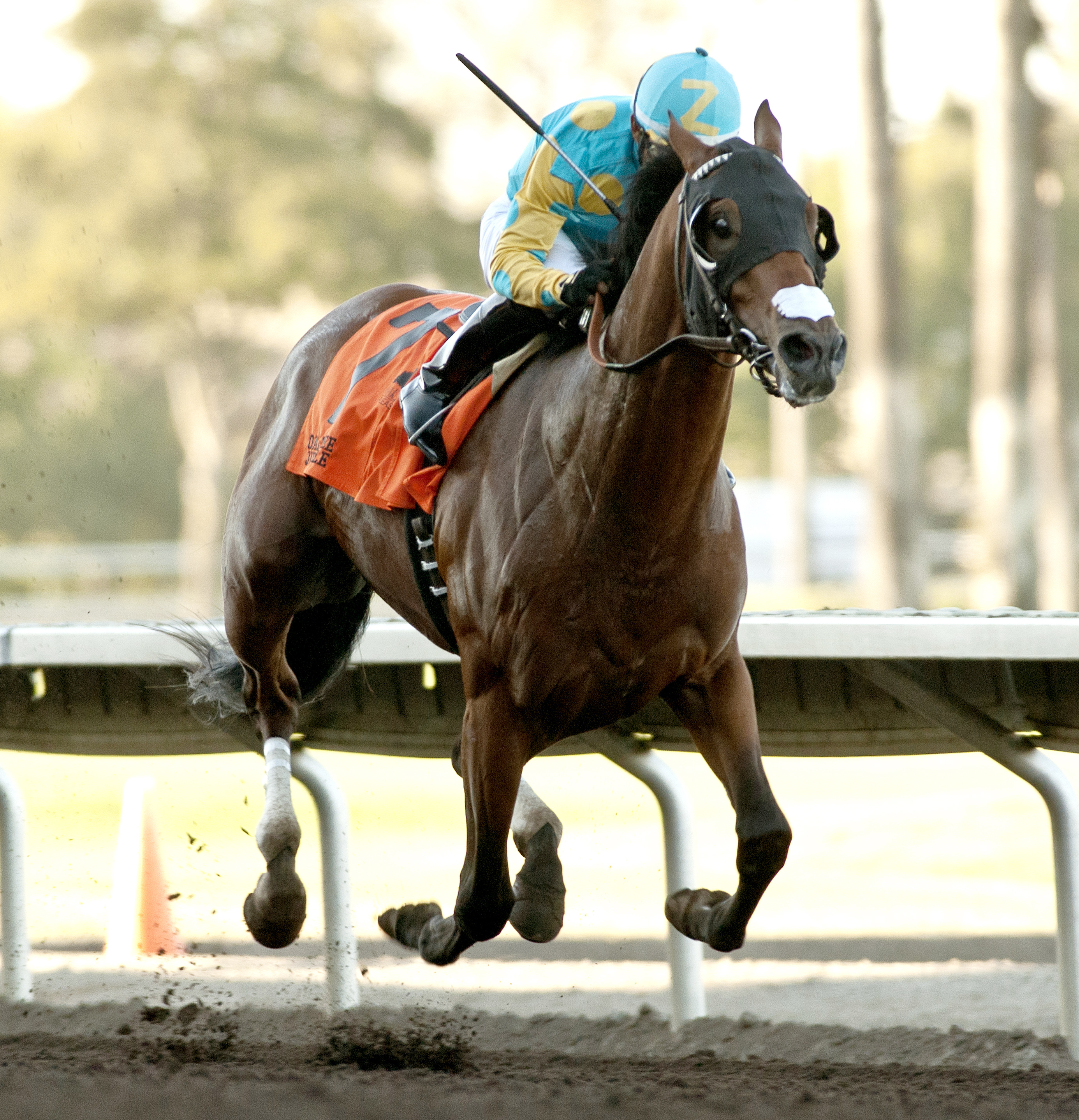 Dangerfield wins the 2016 Oak Tree Juvenile Stakes