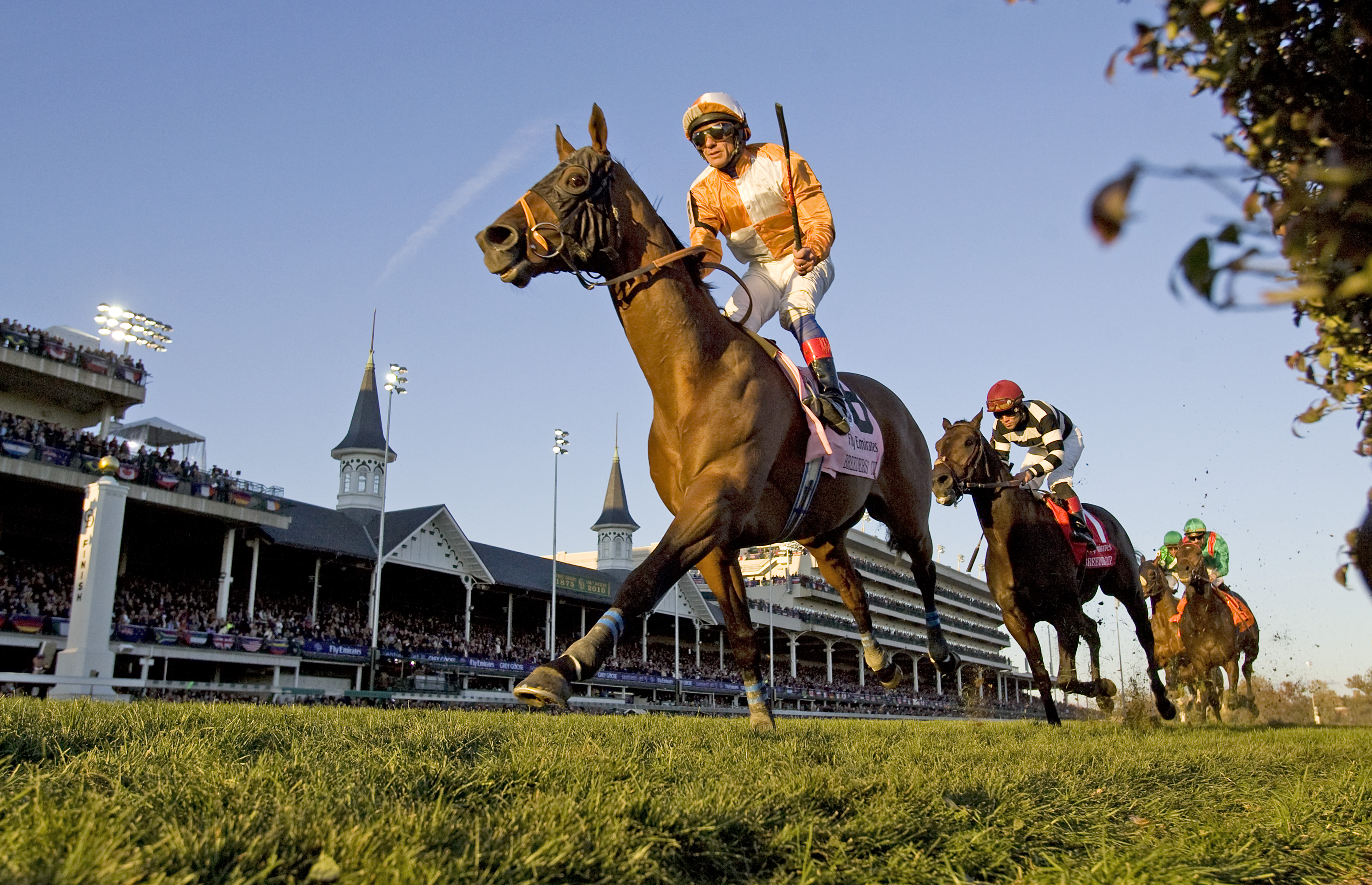 Dangerous Midge - Eclipse Awards
