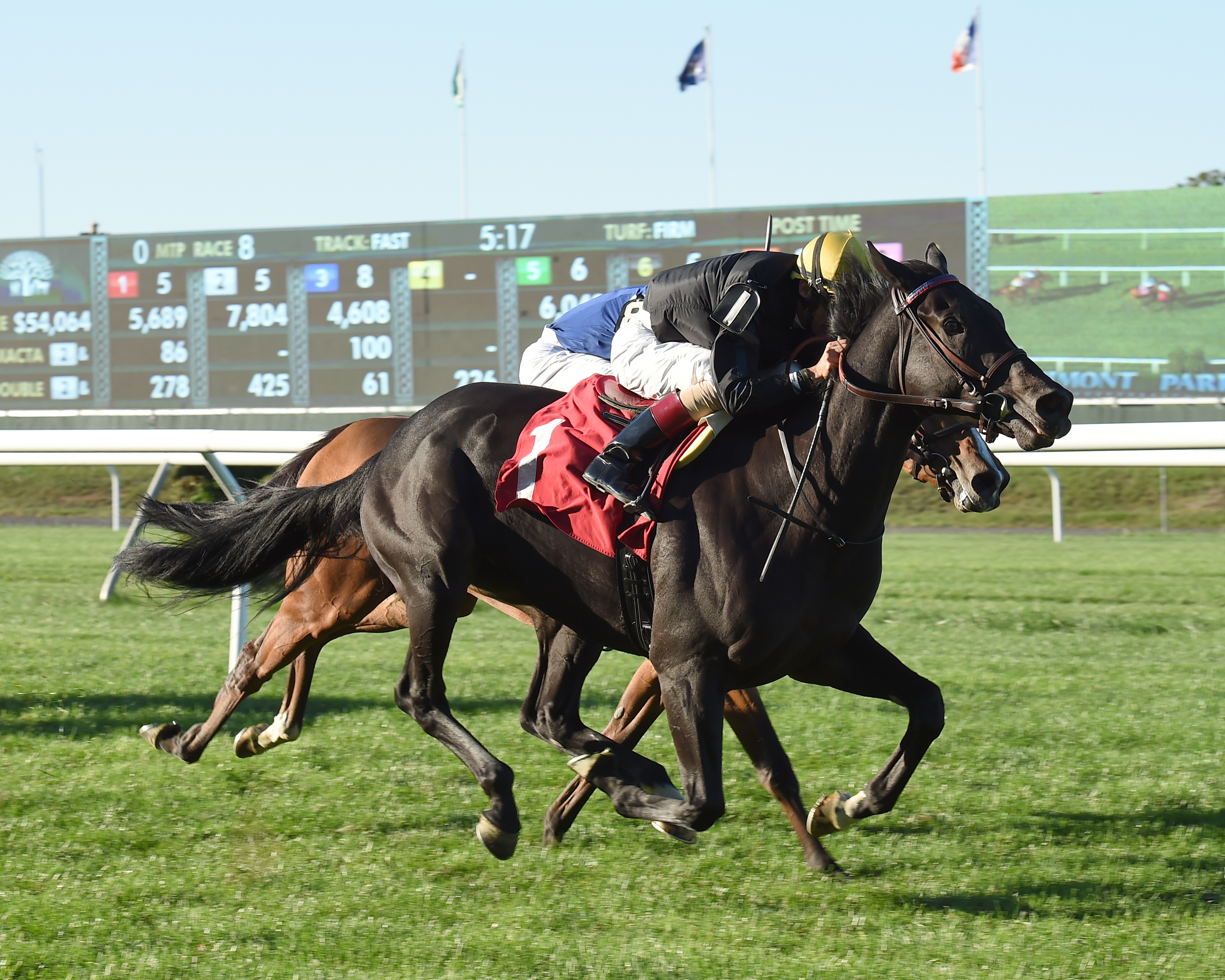 Danilovna wins an optional claiming race on Sept. 22