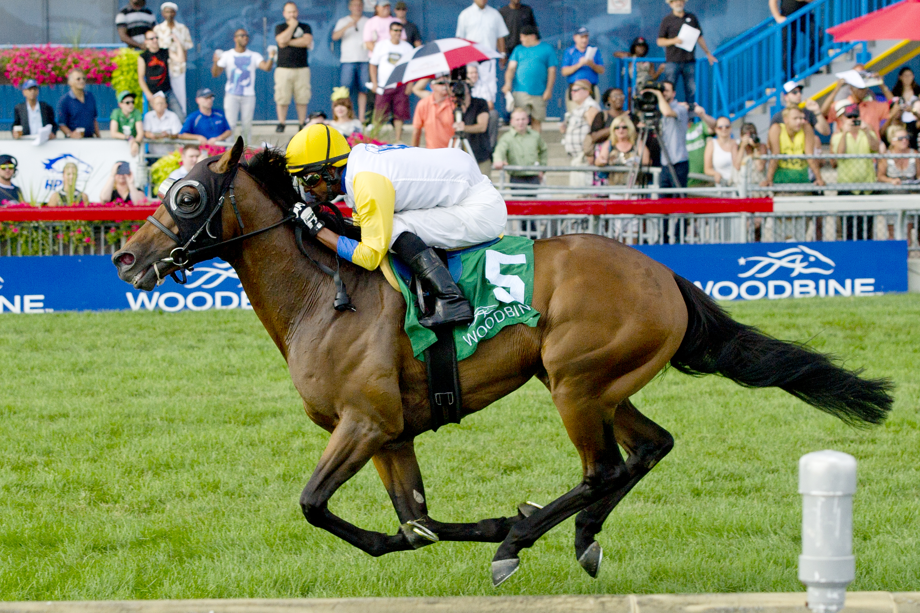 Danish Dynaformer wins the Breeders' Stakes