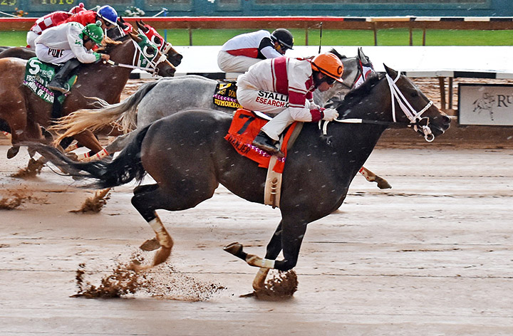 Danjer wins the 2019 First Down Dash Handicap at Ruidoso Downs