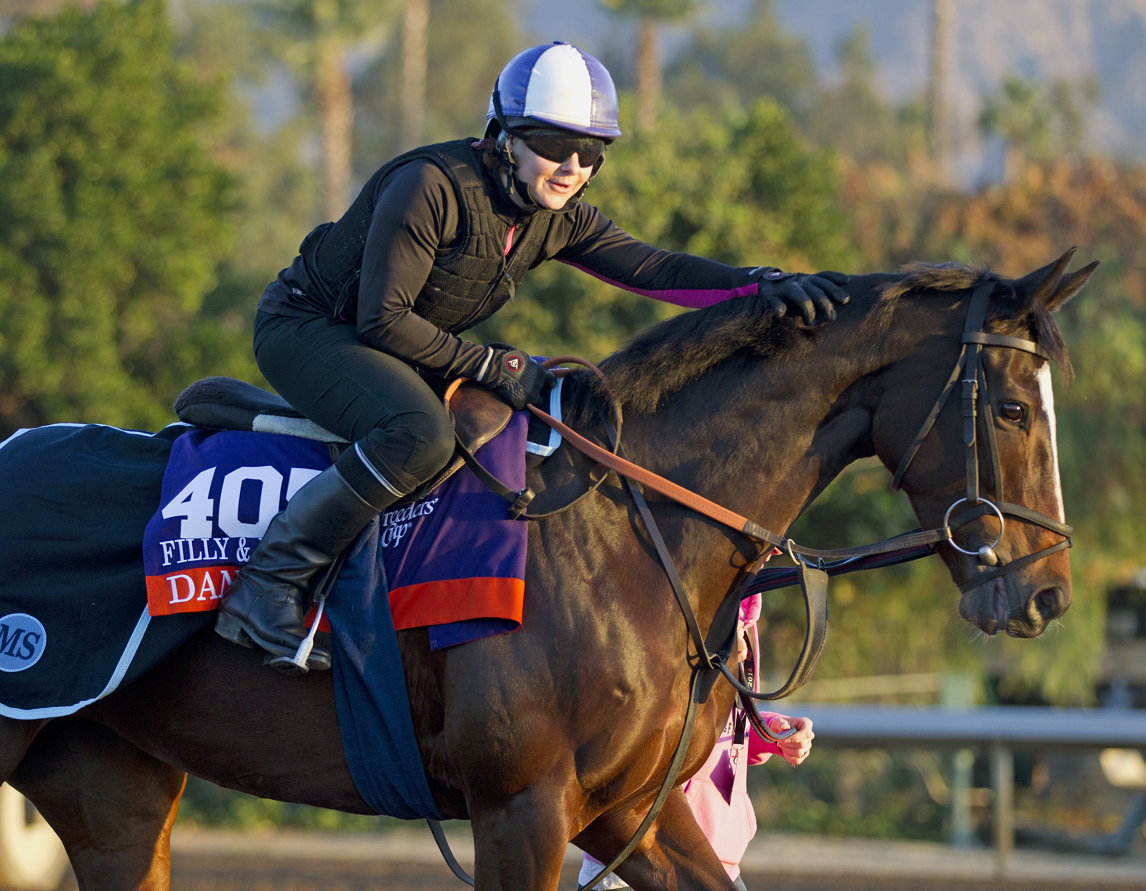 Dank at Santa Anita on Oct. 28