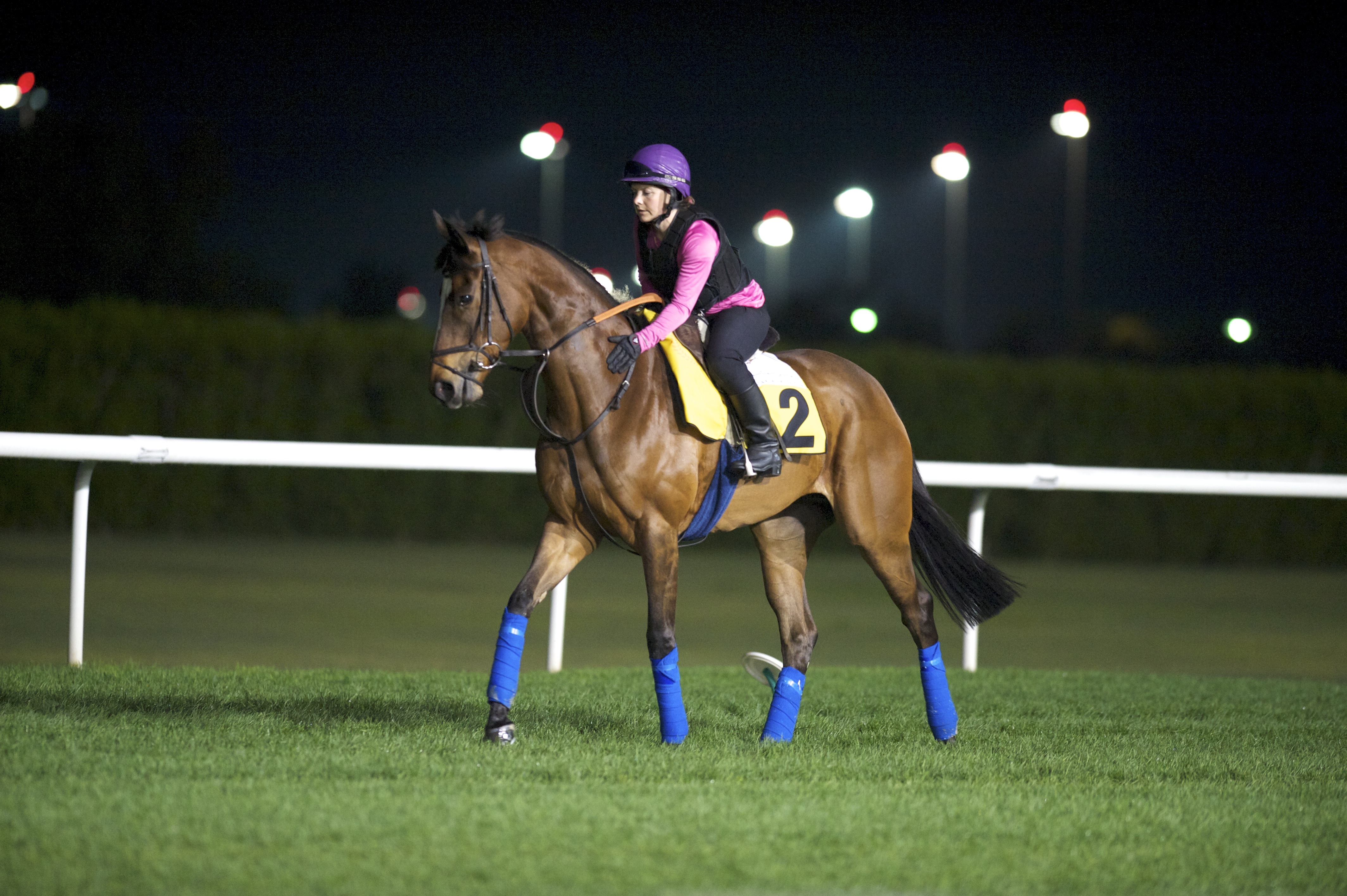 Dank working on the track at Meydan on March 27