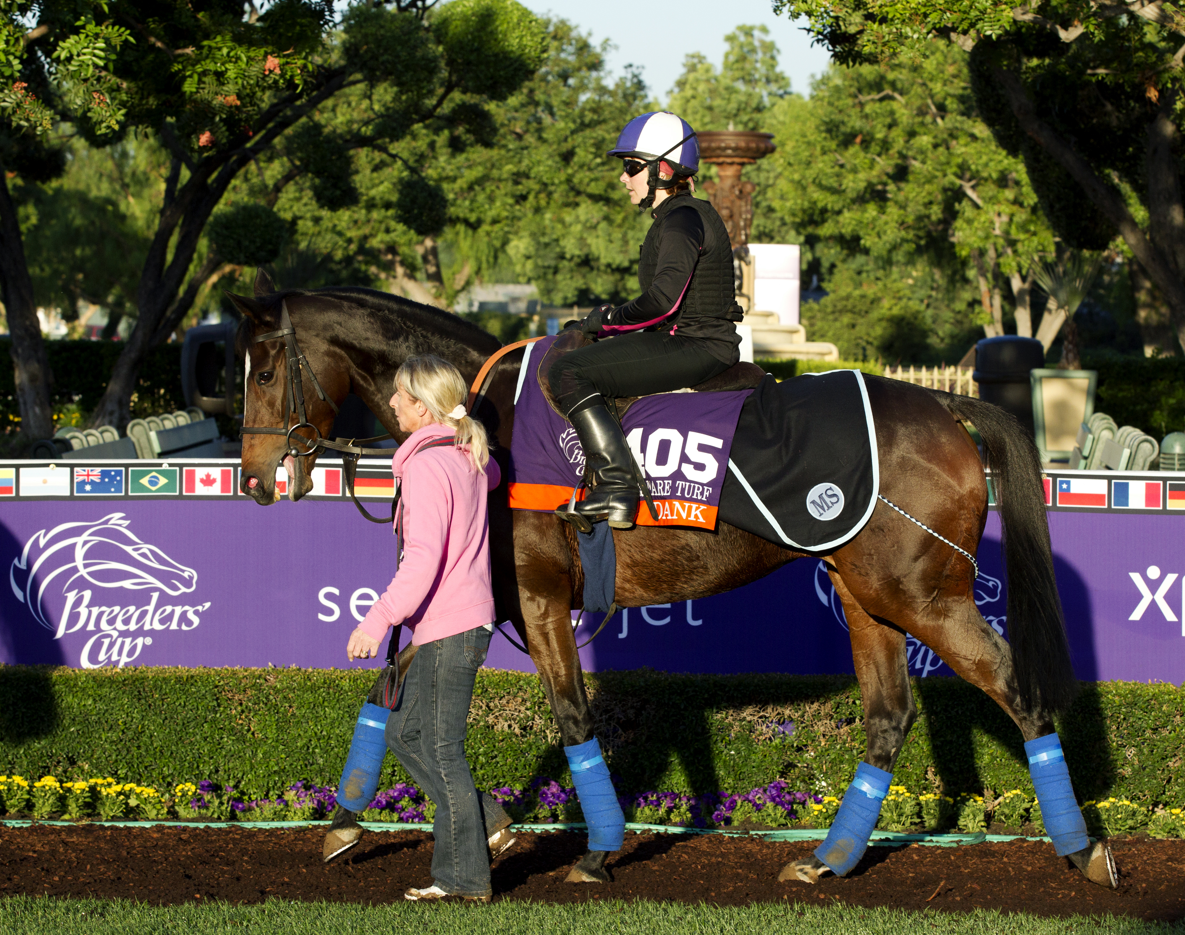 Dank at Santa Anita on Oct. 28
