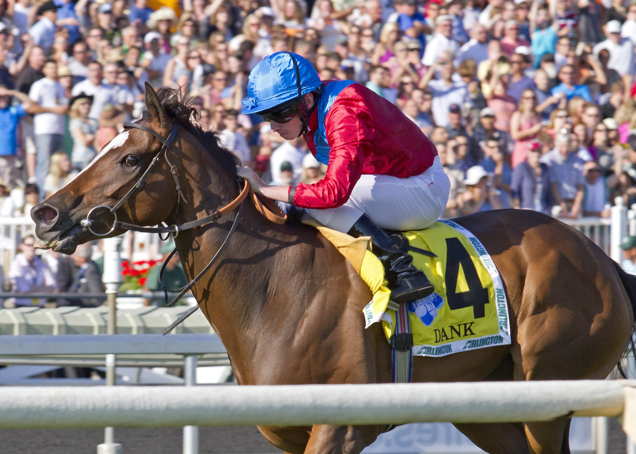 Dank wins the Beverly D. at Arlington Park