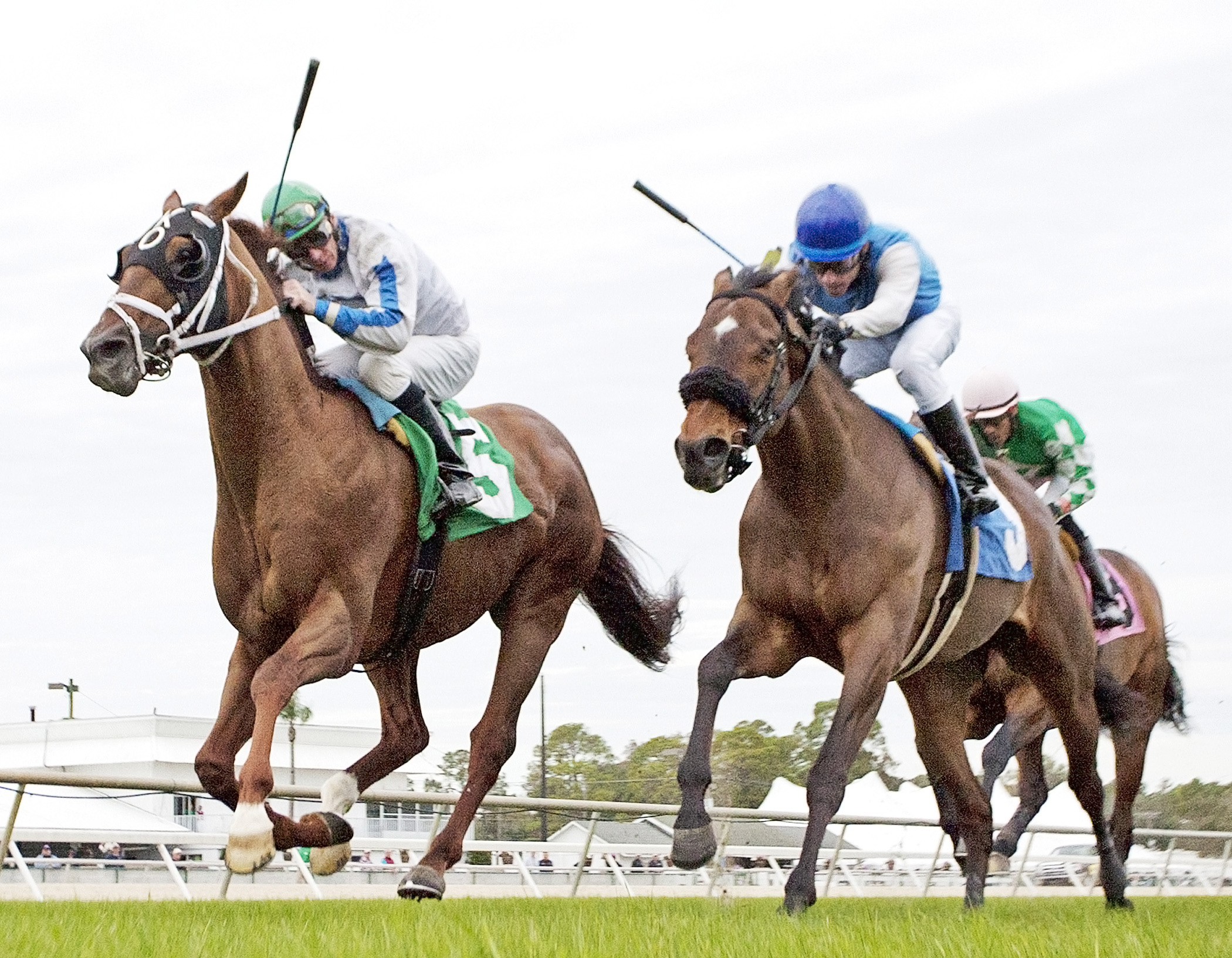 Dannhauser beats Ghost Hunter in an allowance race
