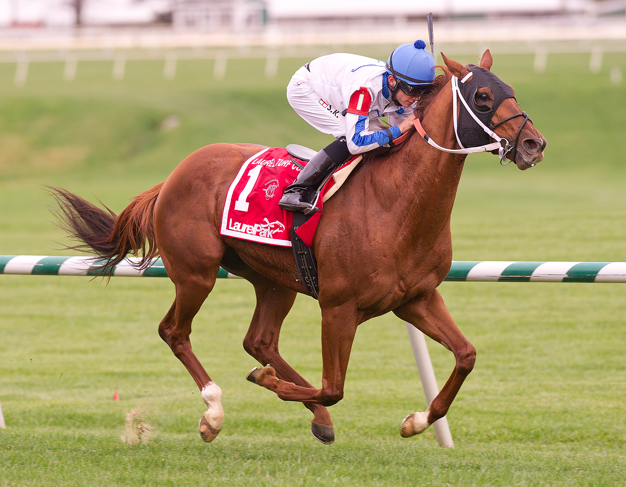 Dannhauser, Laurel Turf Cup