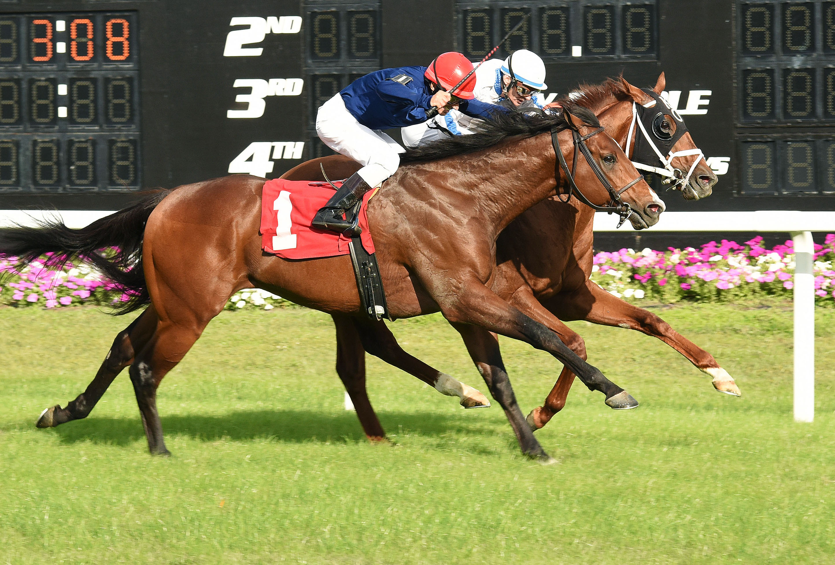 Dannhauser wins an optional claiming race