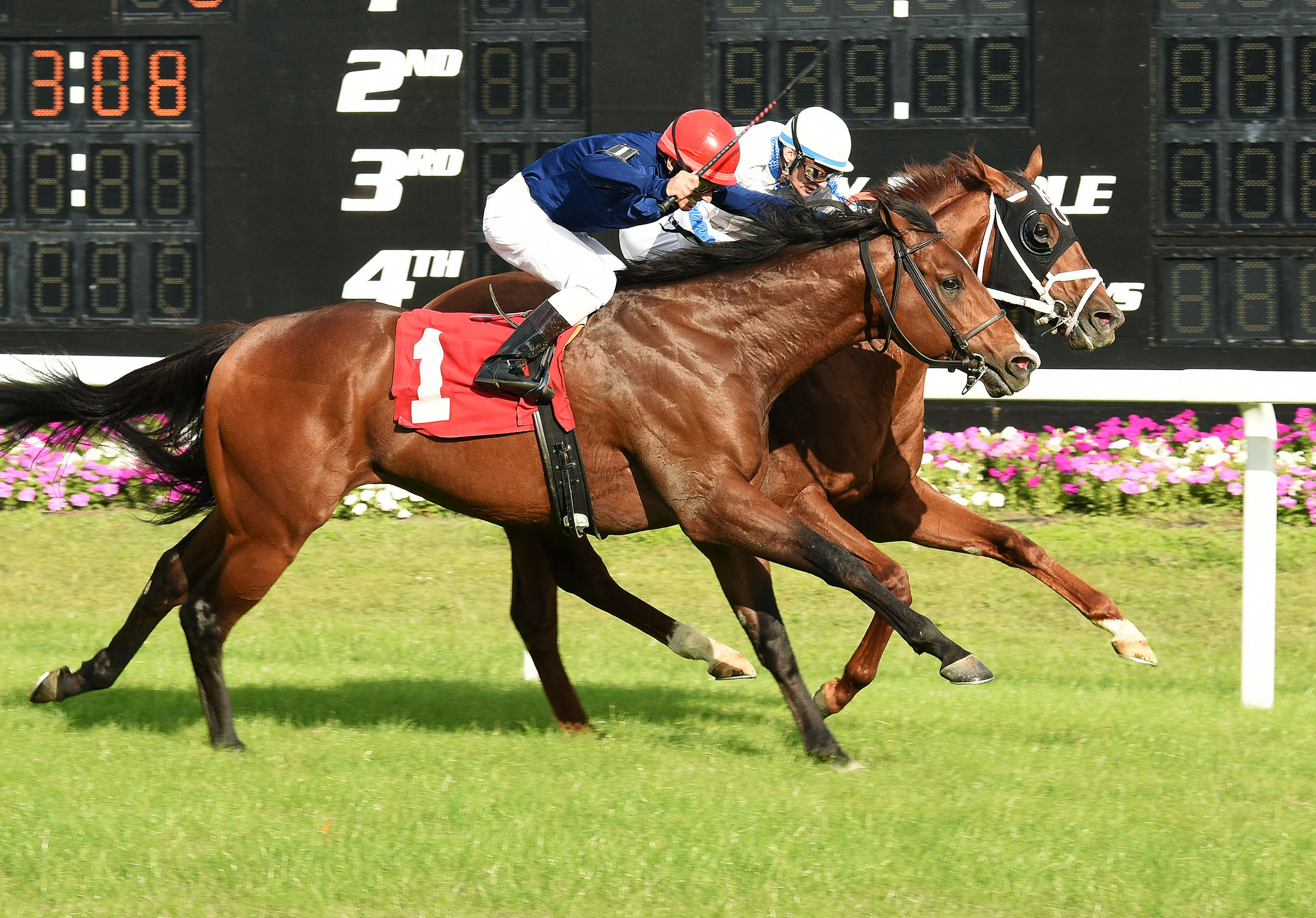 War Envoy finishes second to Dannhauser in an allowance race