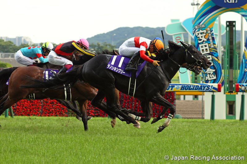 Danon Kingly - photo credits Japan Racing Association