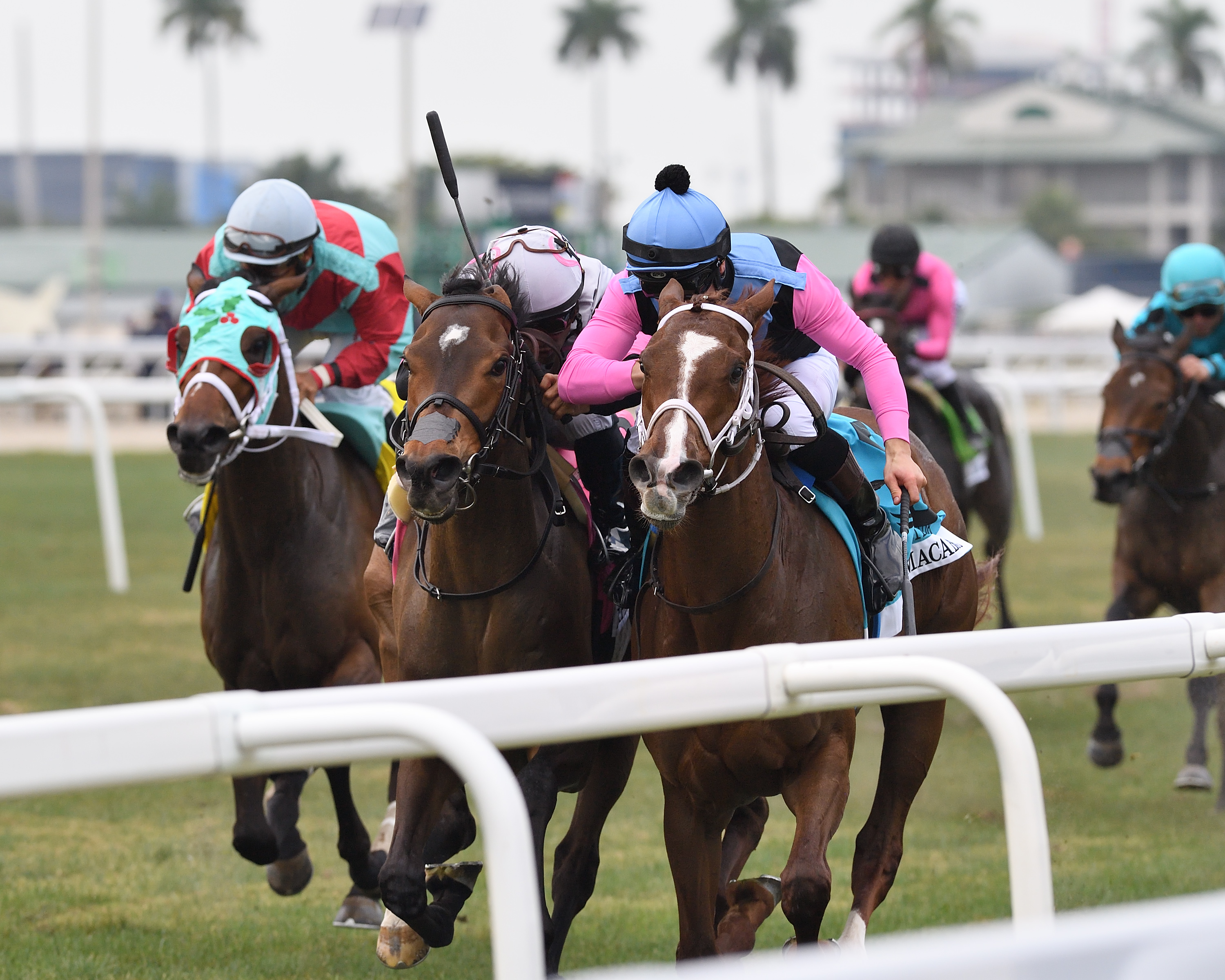 Danse Macabre (right) beats Papilio in Herecomesthebride at GP March 4 2023