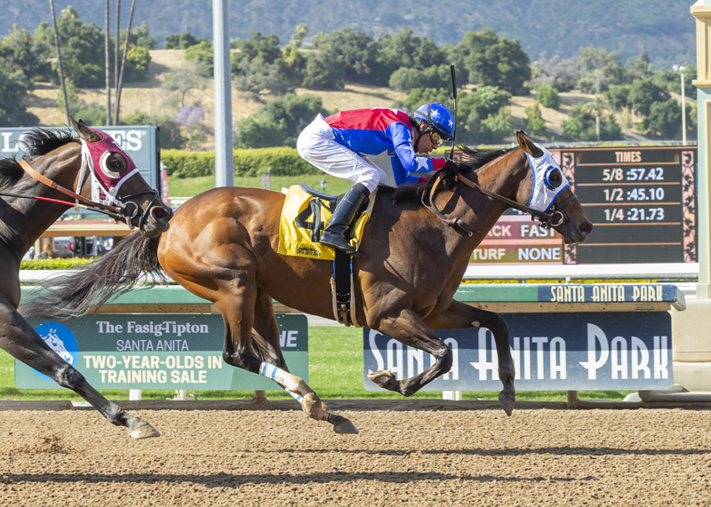 Danuska's My Girl wins the 2019 Desert Stormer Stakes
