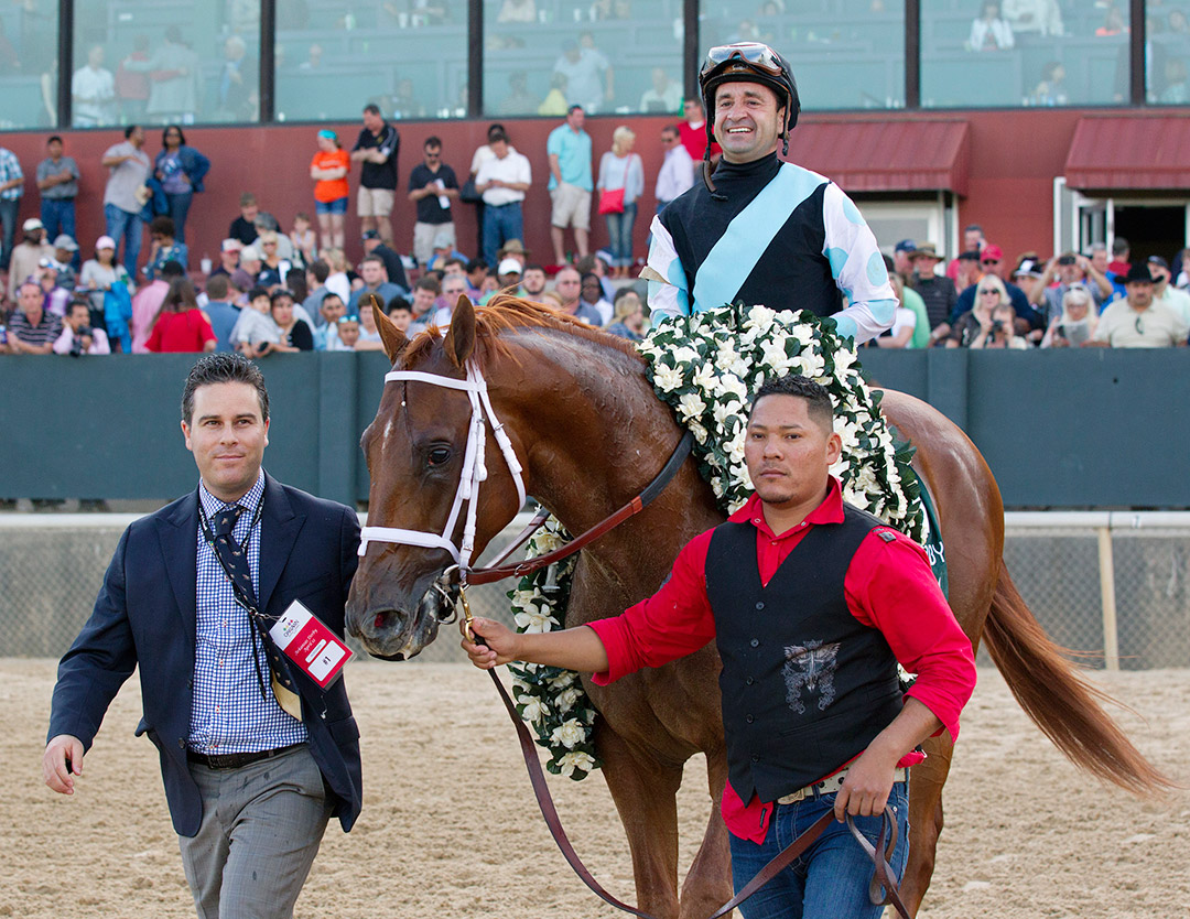 Arkansas Derby winner and sire Danza dies at 10
