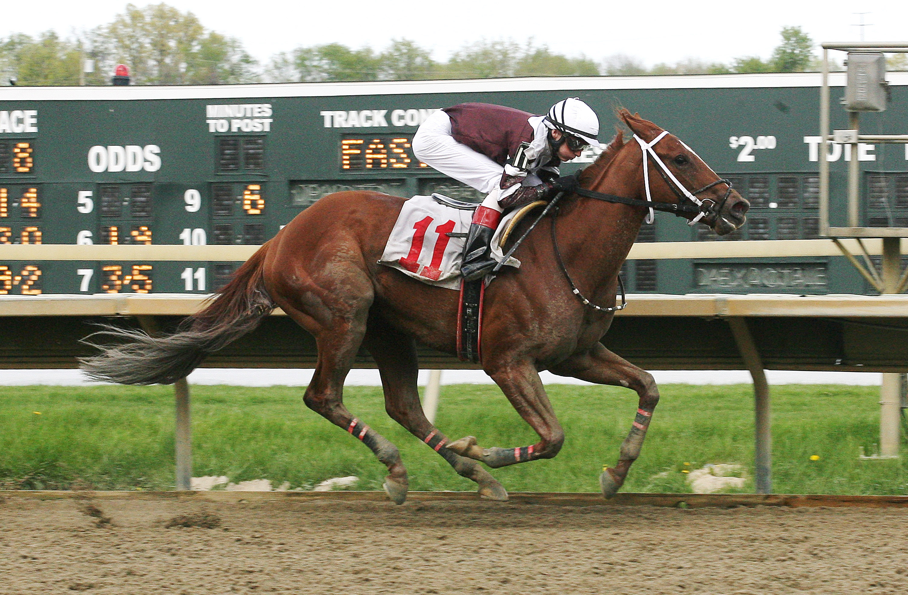 Danzatrice wins the Parx Oaks