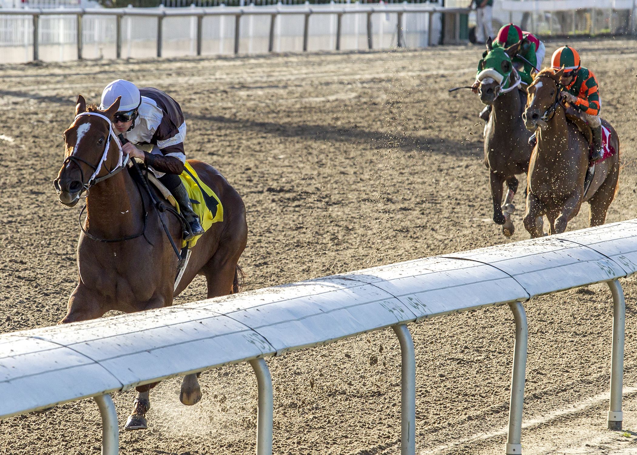 Danzatrice wins the Tiffany Lass