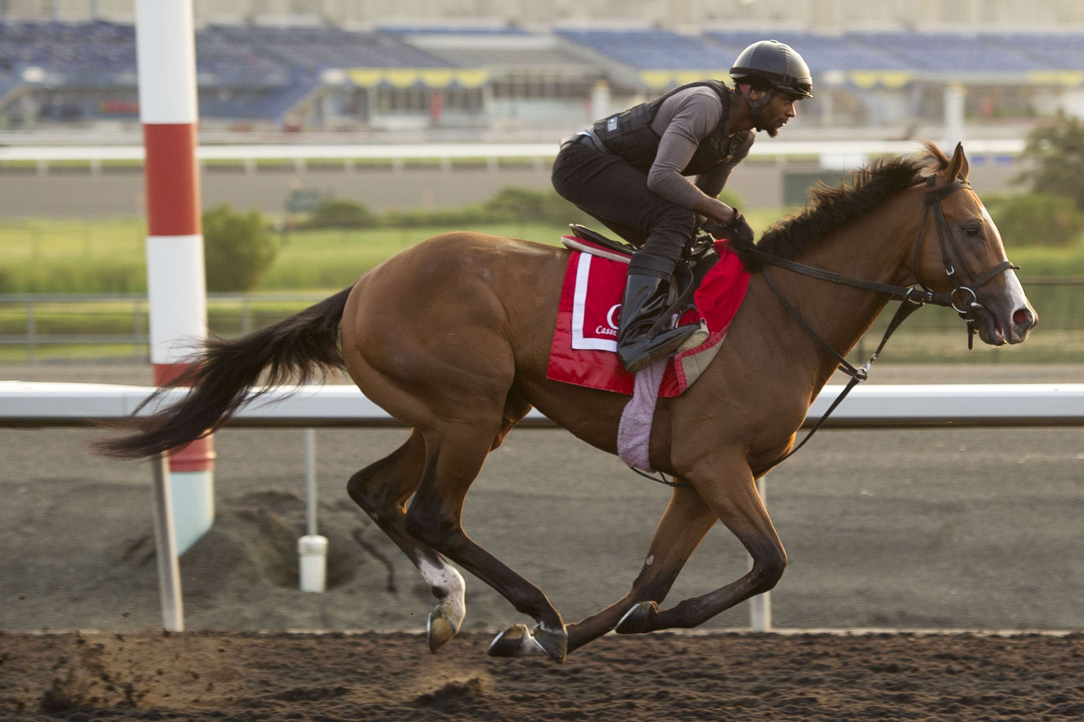 Danzig Moon at Woodbine on June 11