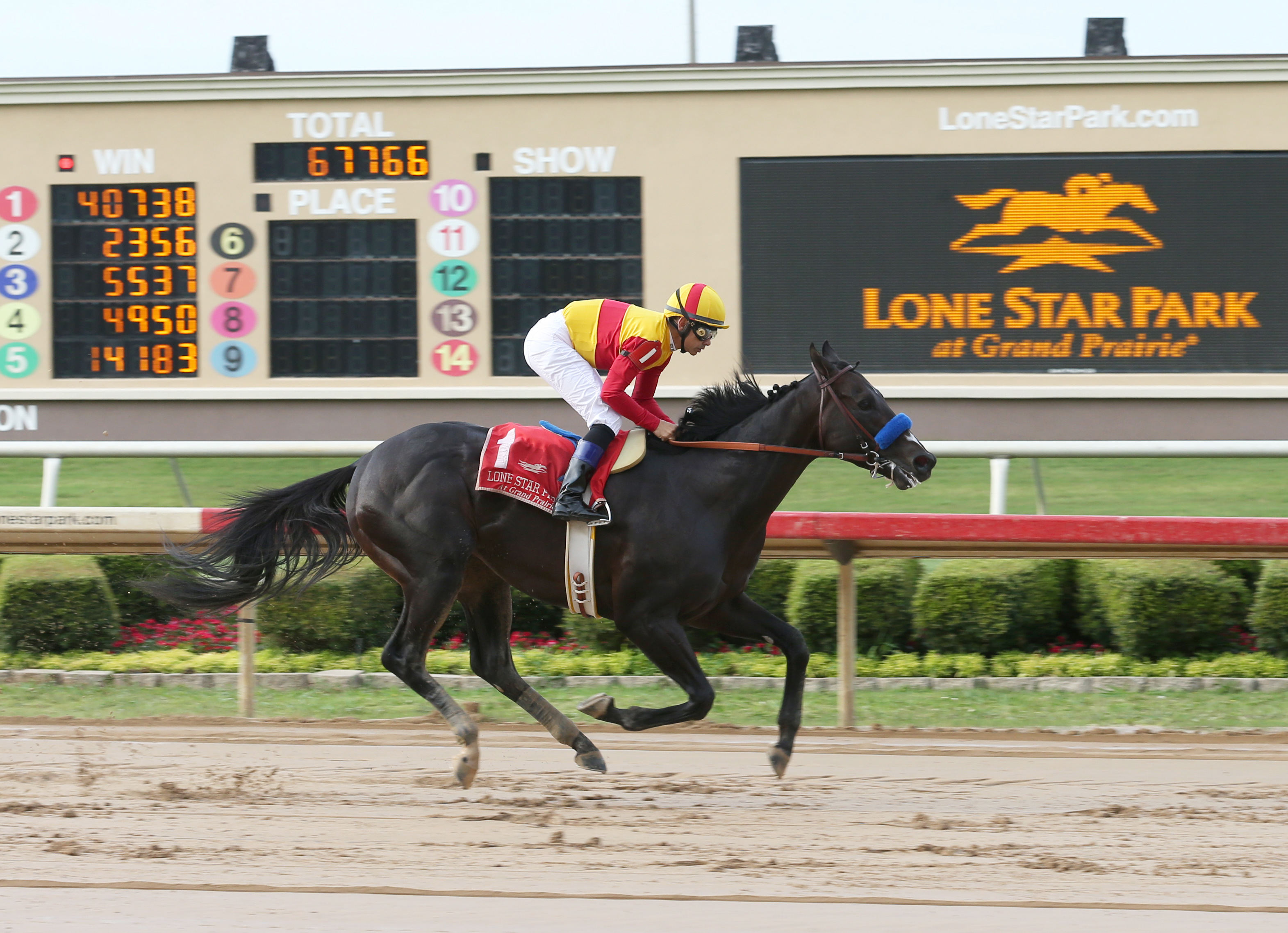 Danzing Candy wins the Lone Star Park Handicap