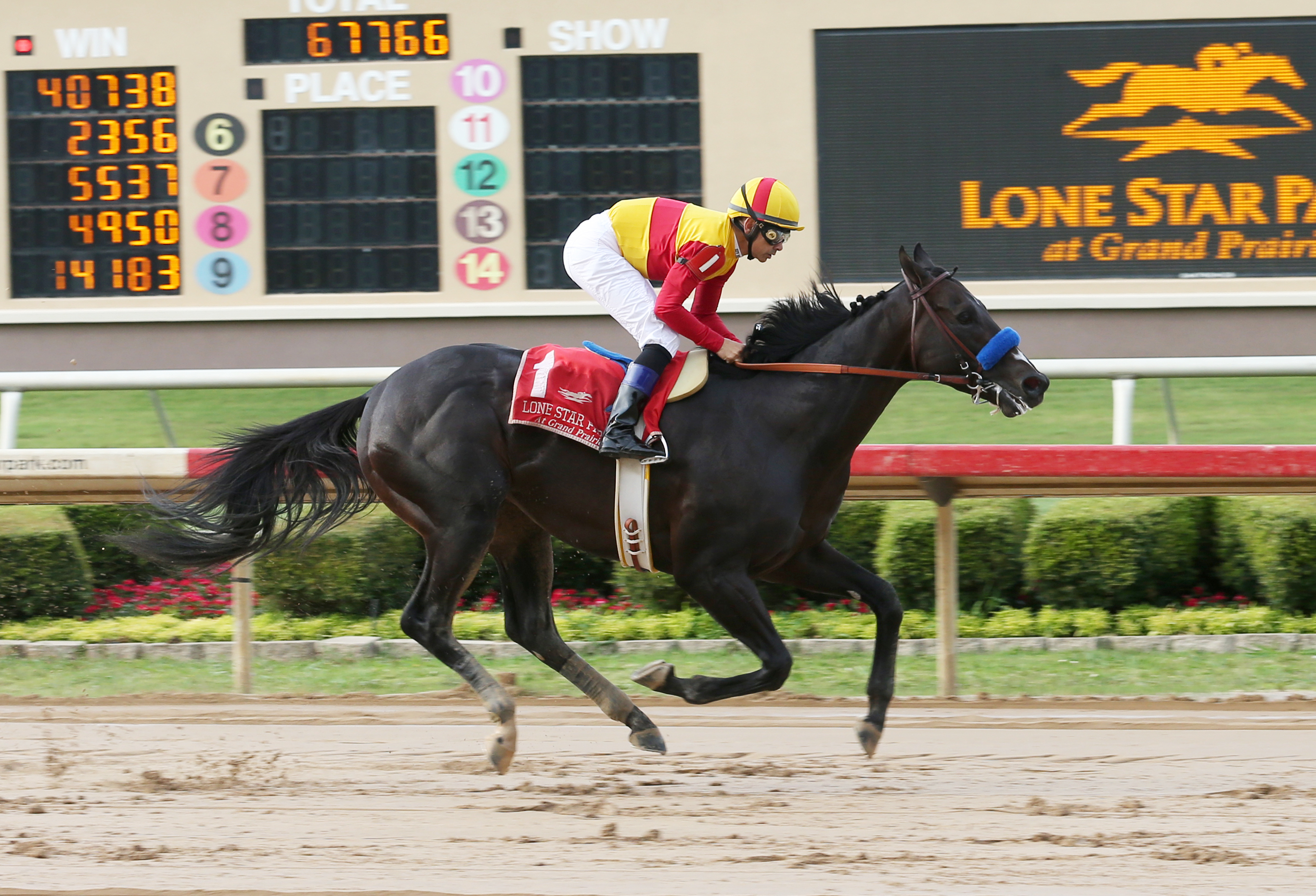 Danzing Candy wins the Lone Star Park Handicap