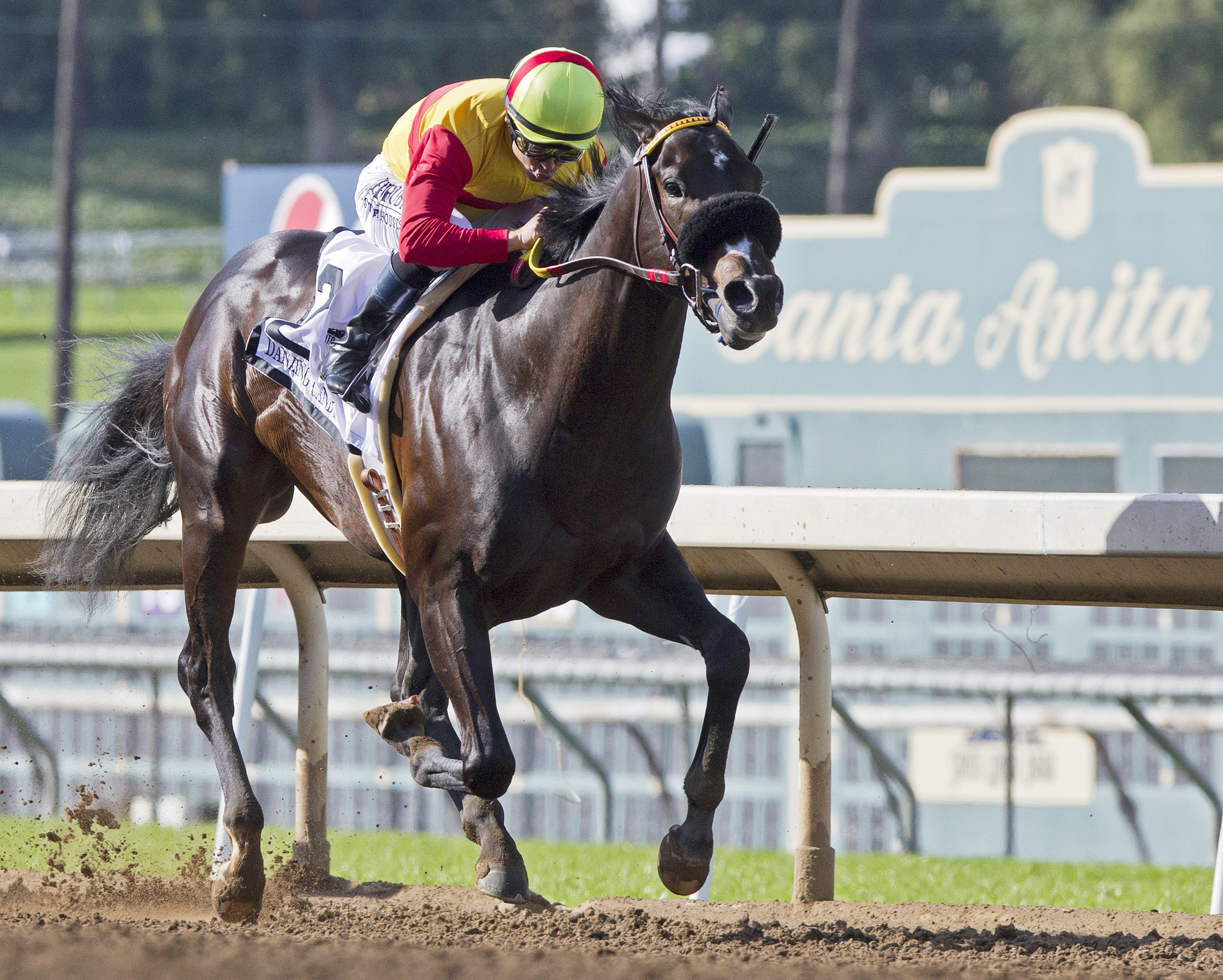 Danzing Candy wins the San Felipe