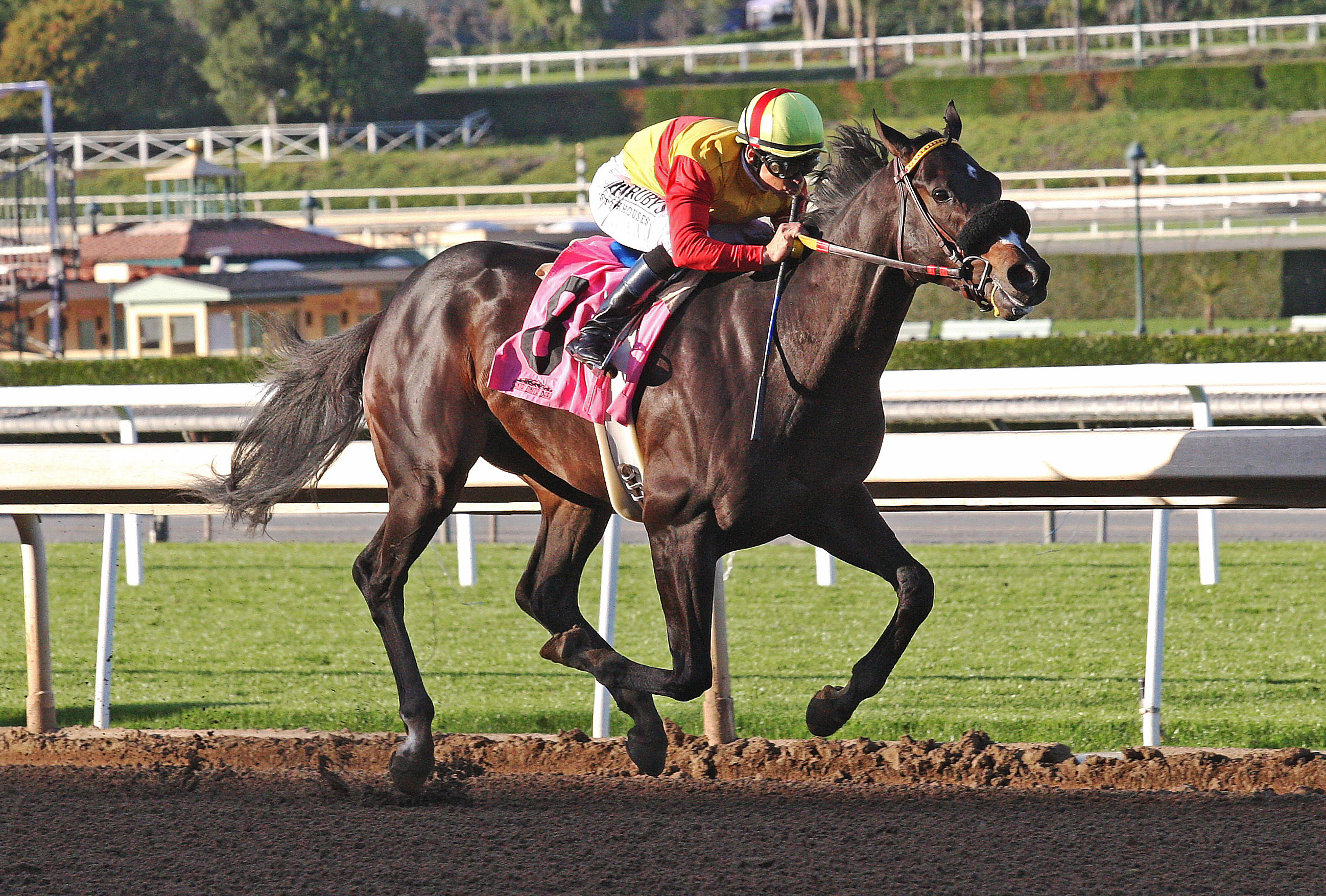 Danzing Candy wins an optional claiming race