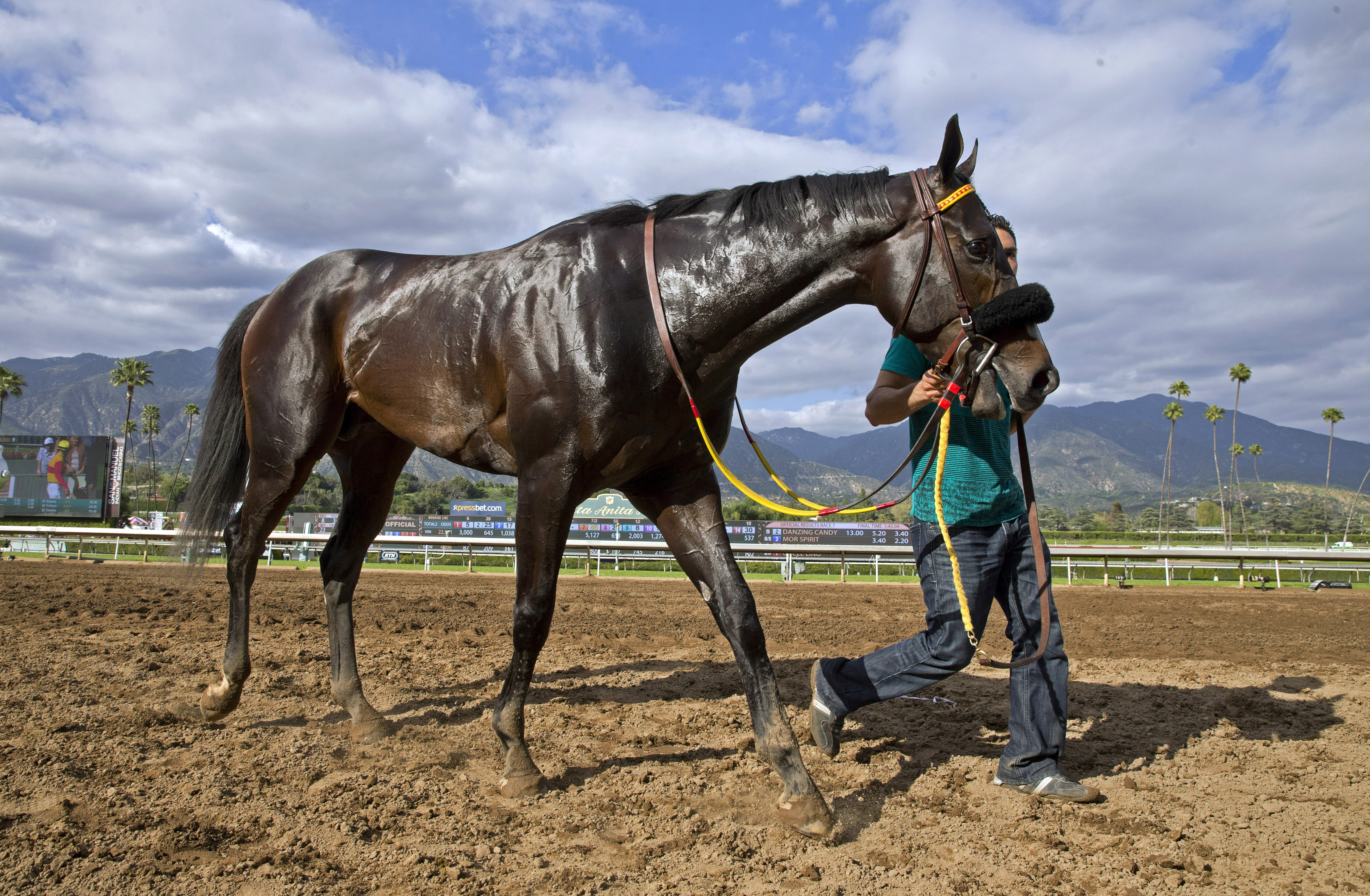 Danzing Candy at Santa Anita on March 12