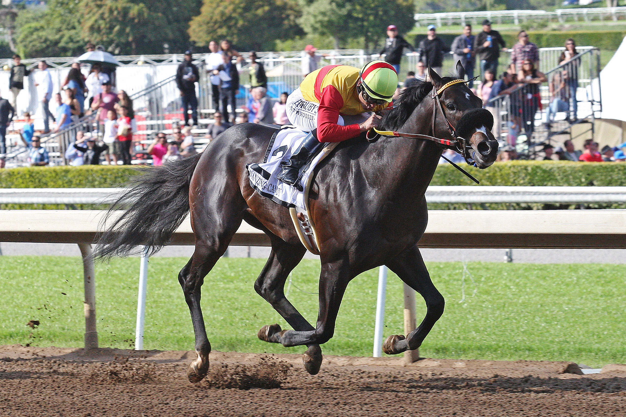 Danzing Candy wins the San Felipe