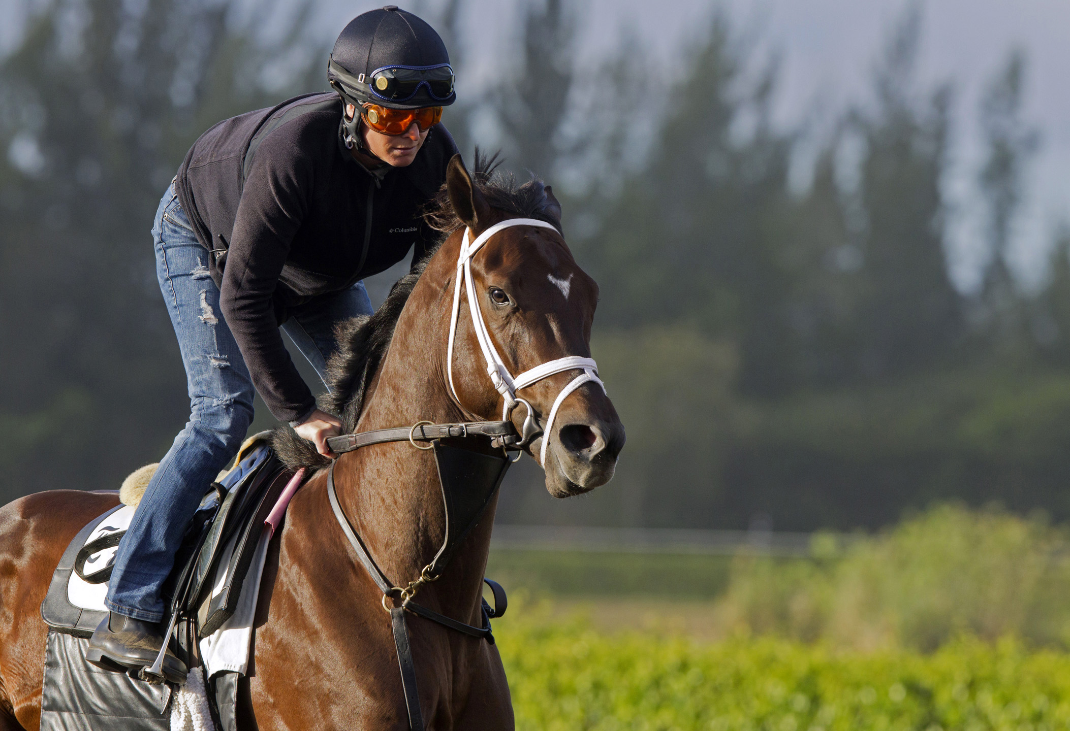 Daredevil at Palm Beach Downs on Feb. 1