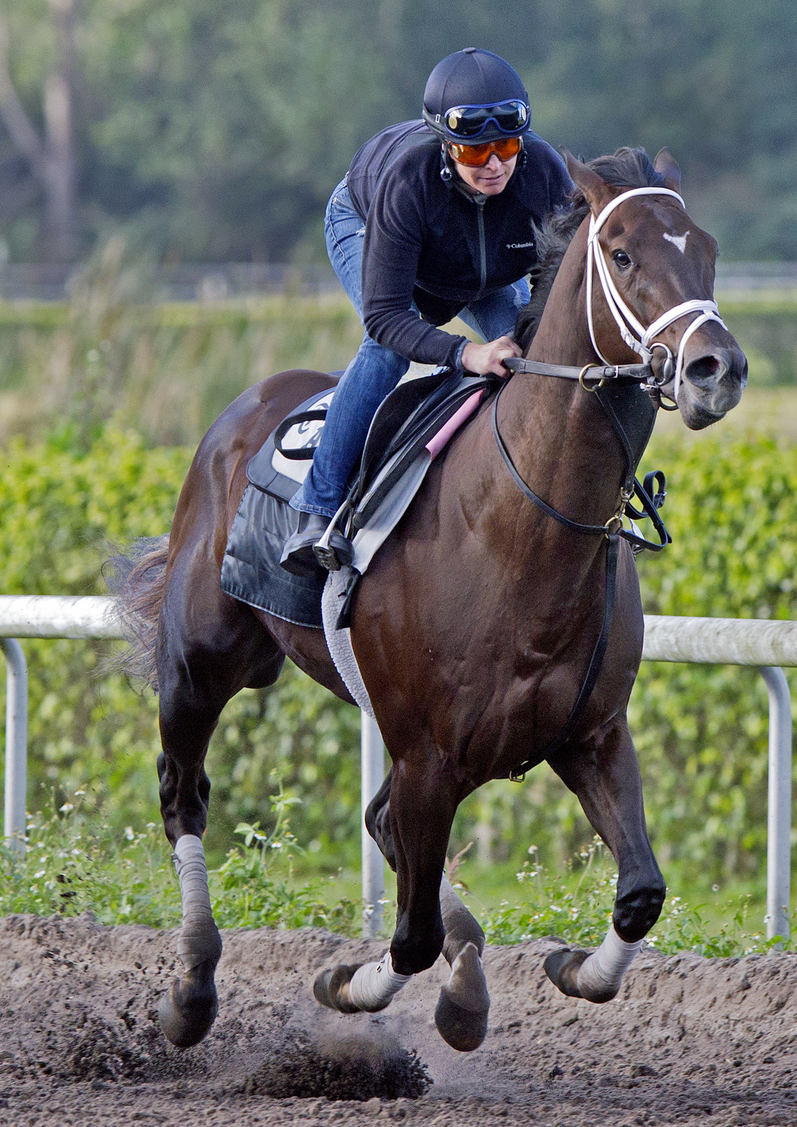 Gulfstream: Daredevil cuts back for Swale