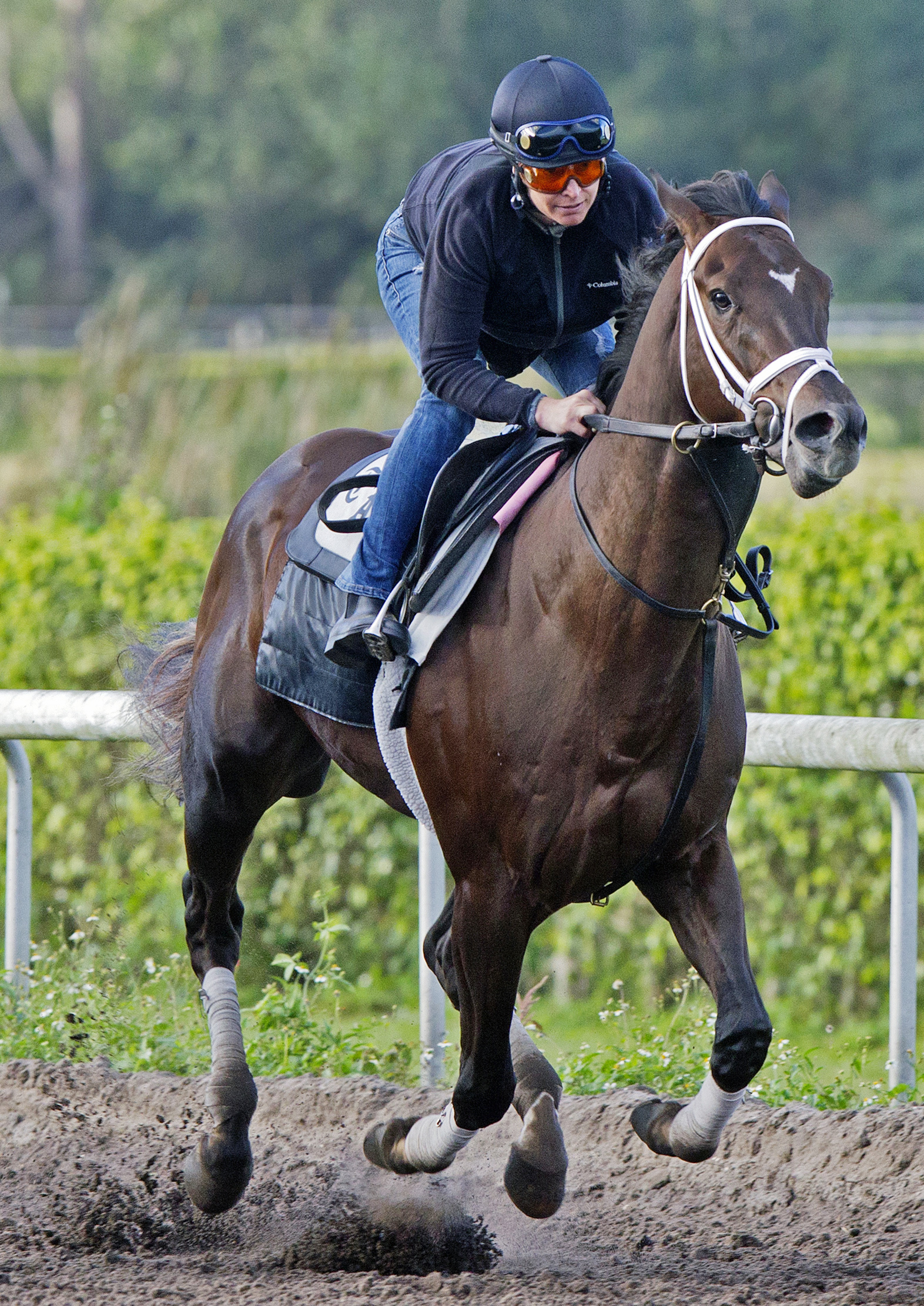 Daredevil trains at Palm Beach Downs on Feb. 1