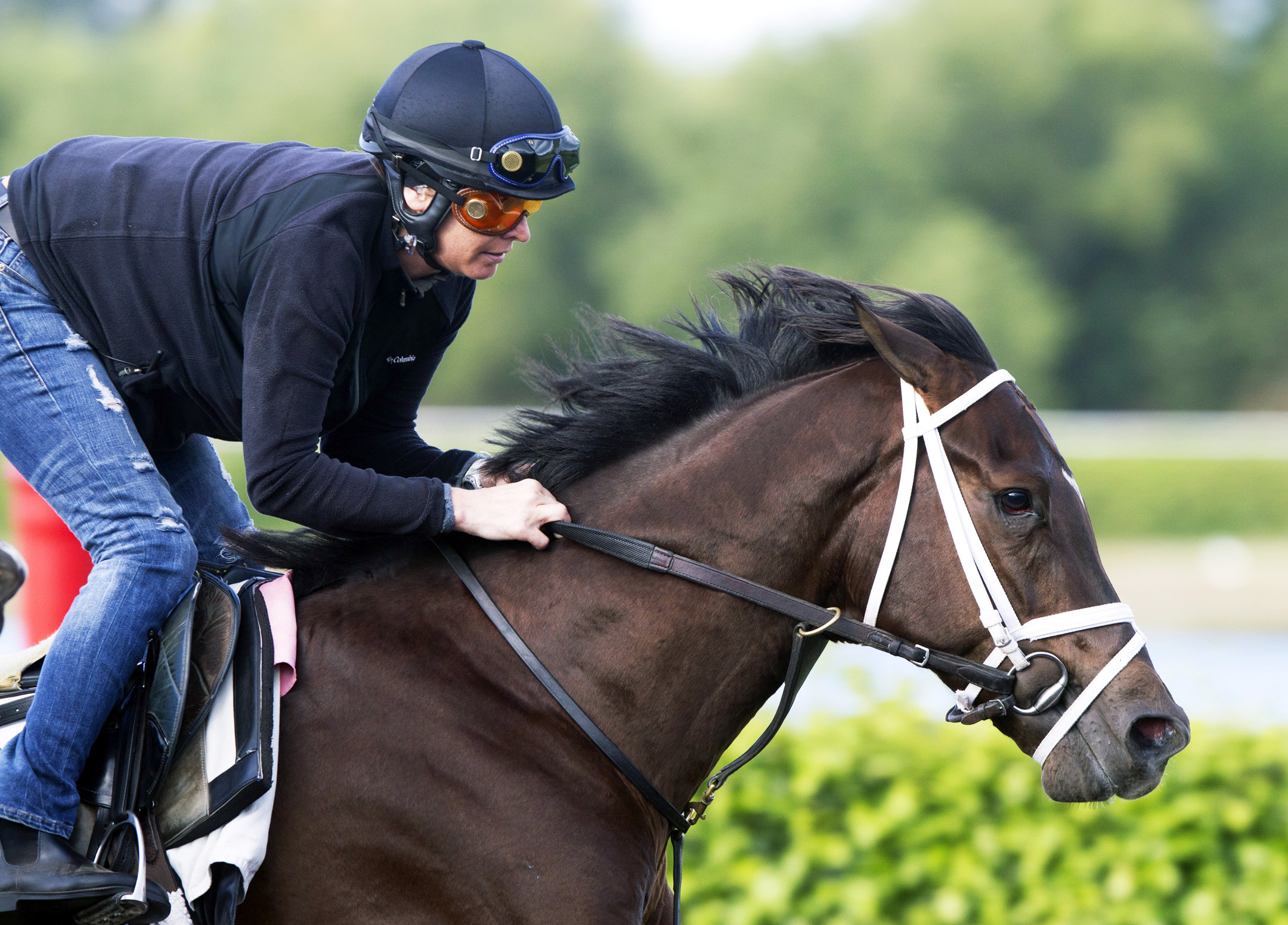 Daredevil trains at Palm Beach Downs on Feb. 1