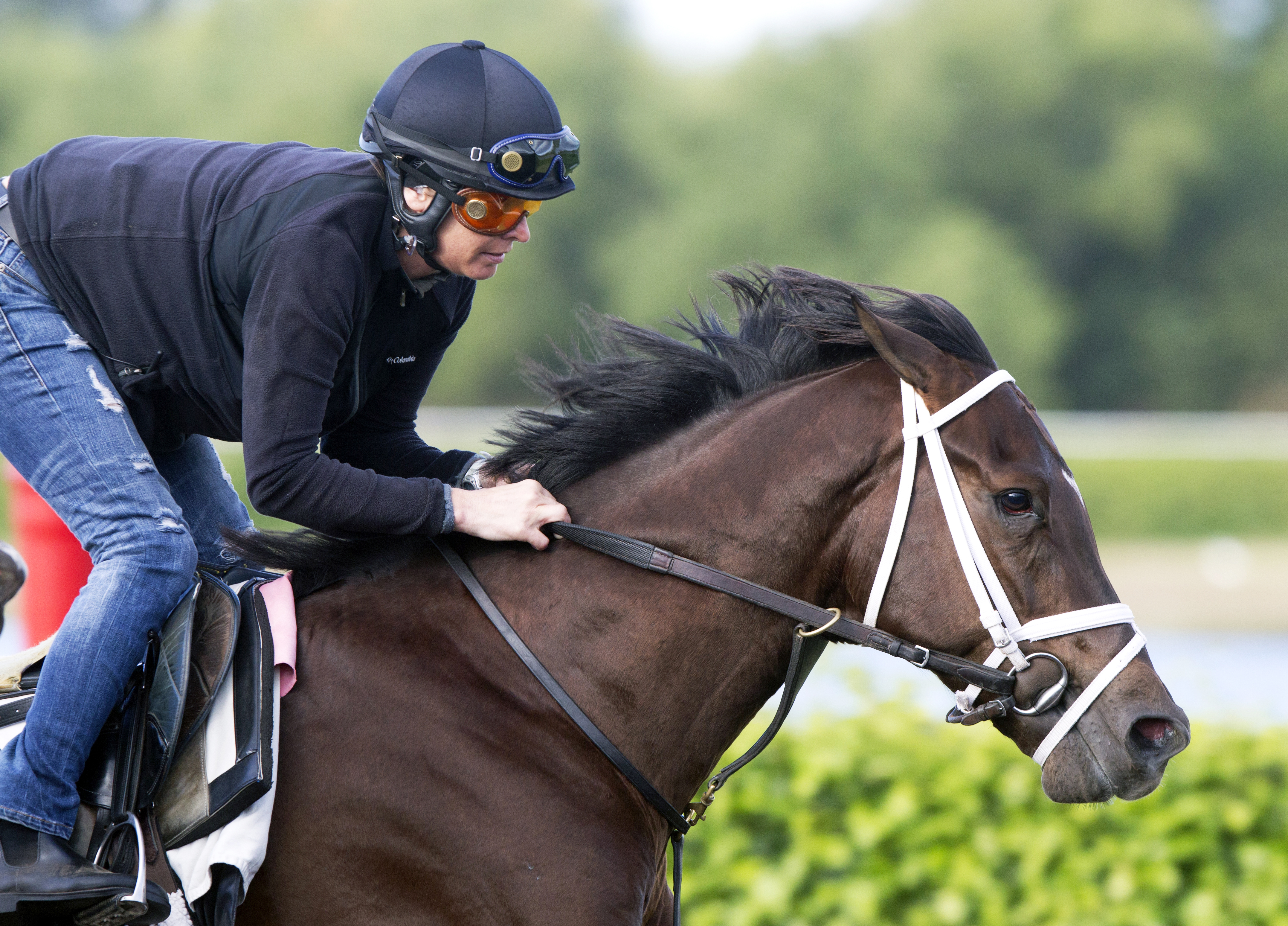 Daredevil trains at Palm Beach Downs on Feb. 1