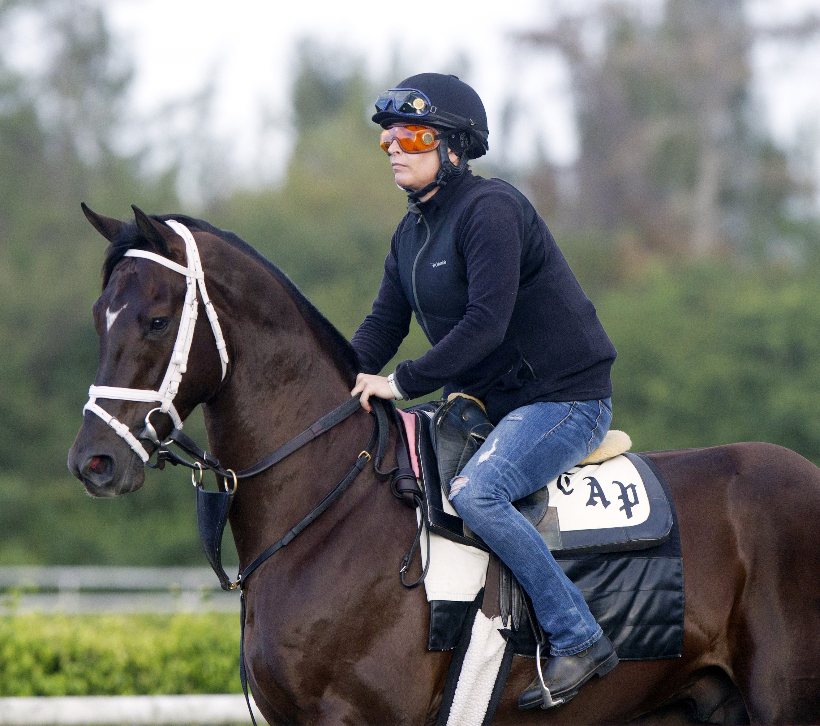 Daredevil trains at Palm Beach Downs on Feb. 1