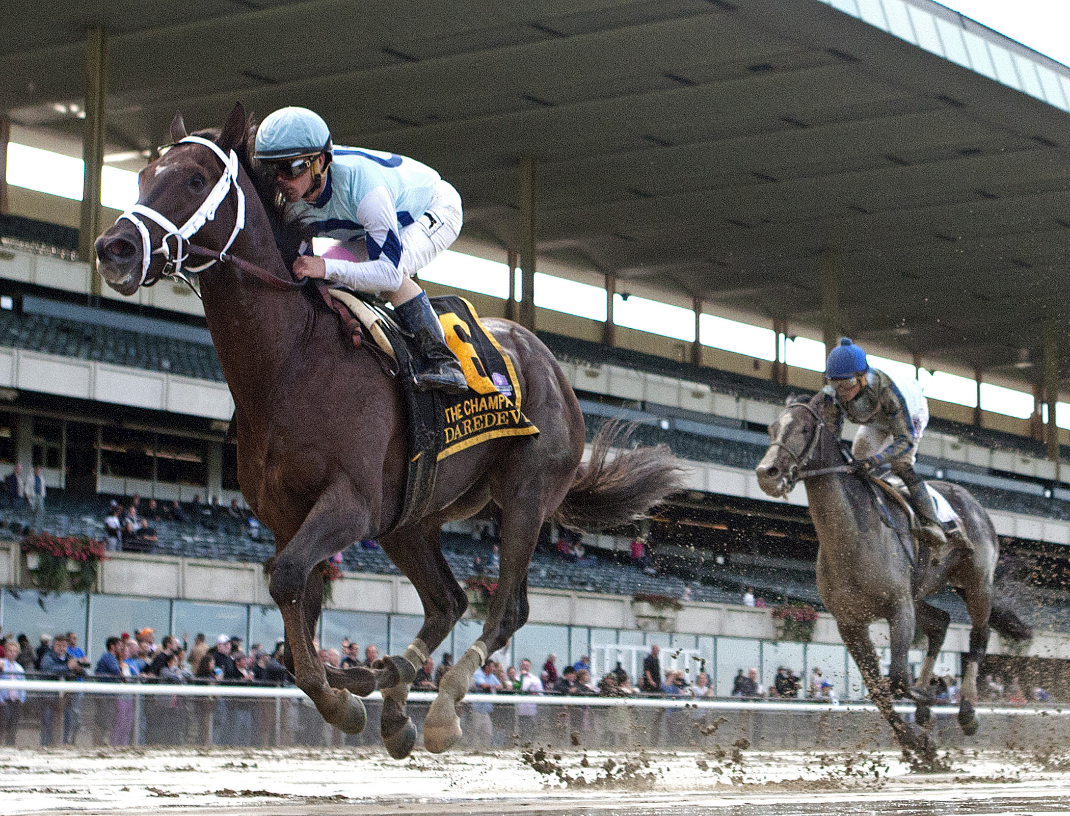 Daredevil wins the Champagne