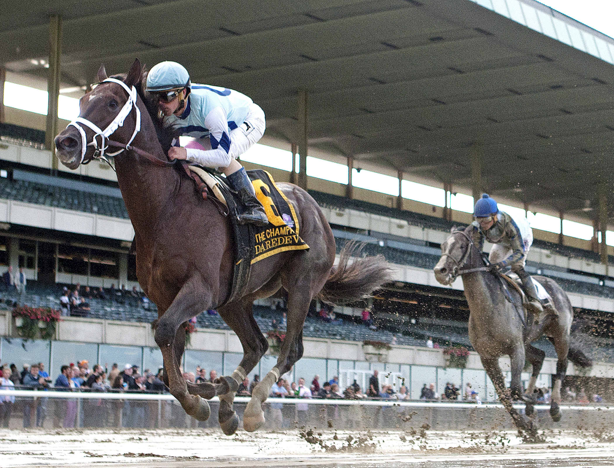 Daredevil wins the 2014 Champagne Stakes