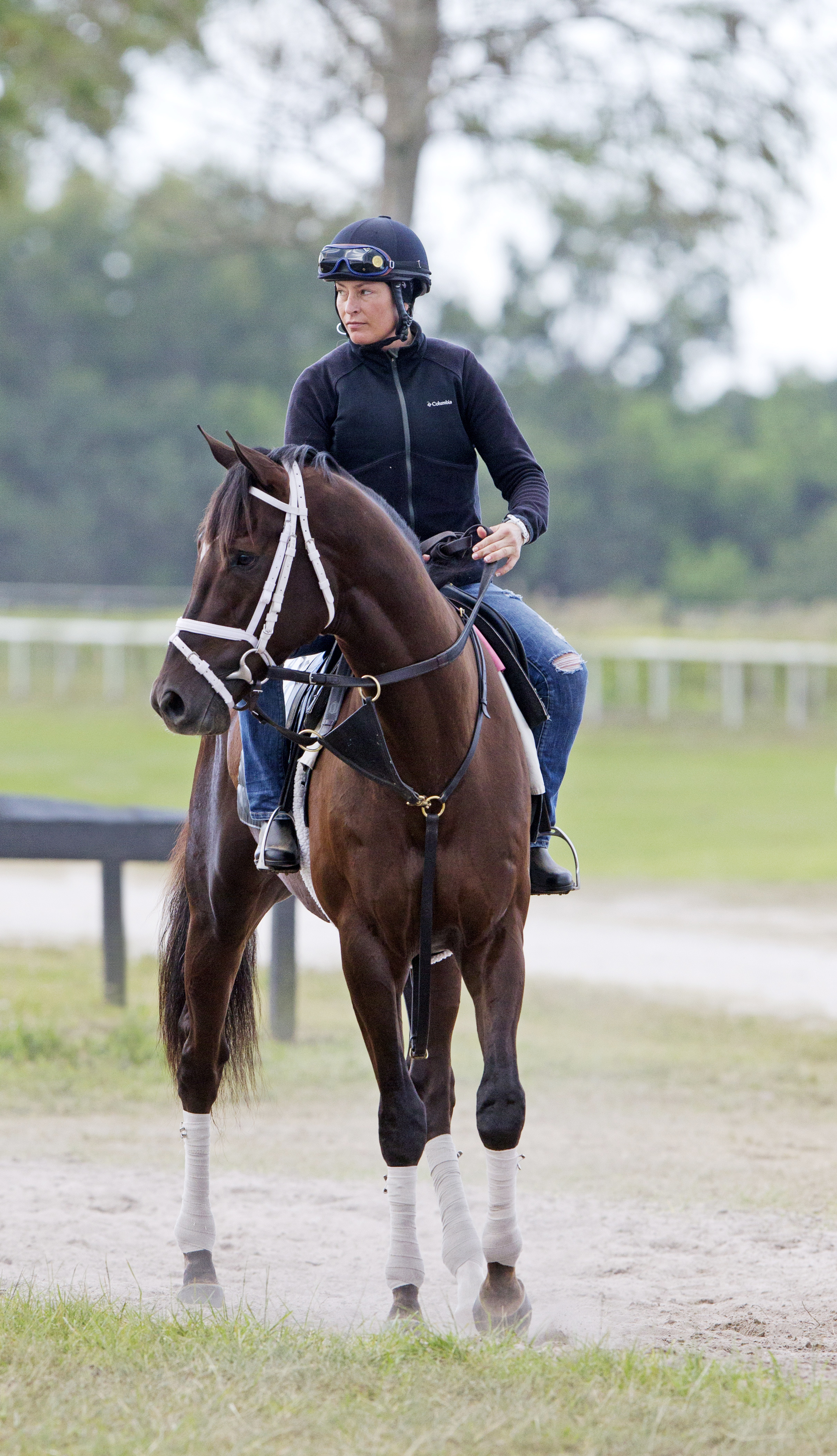 Daredevil at Palm Beach Downs on Feb. 1