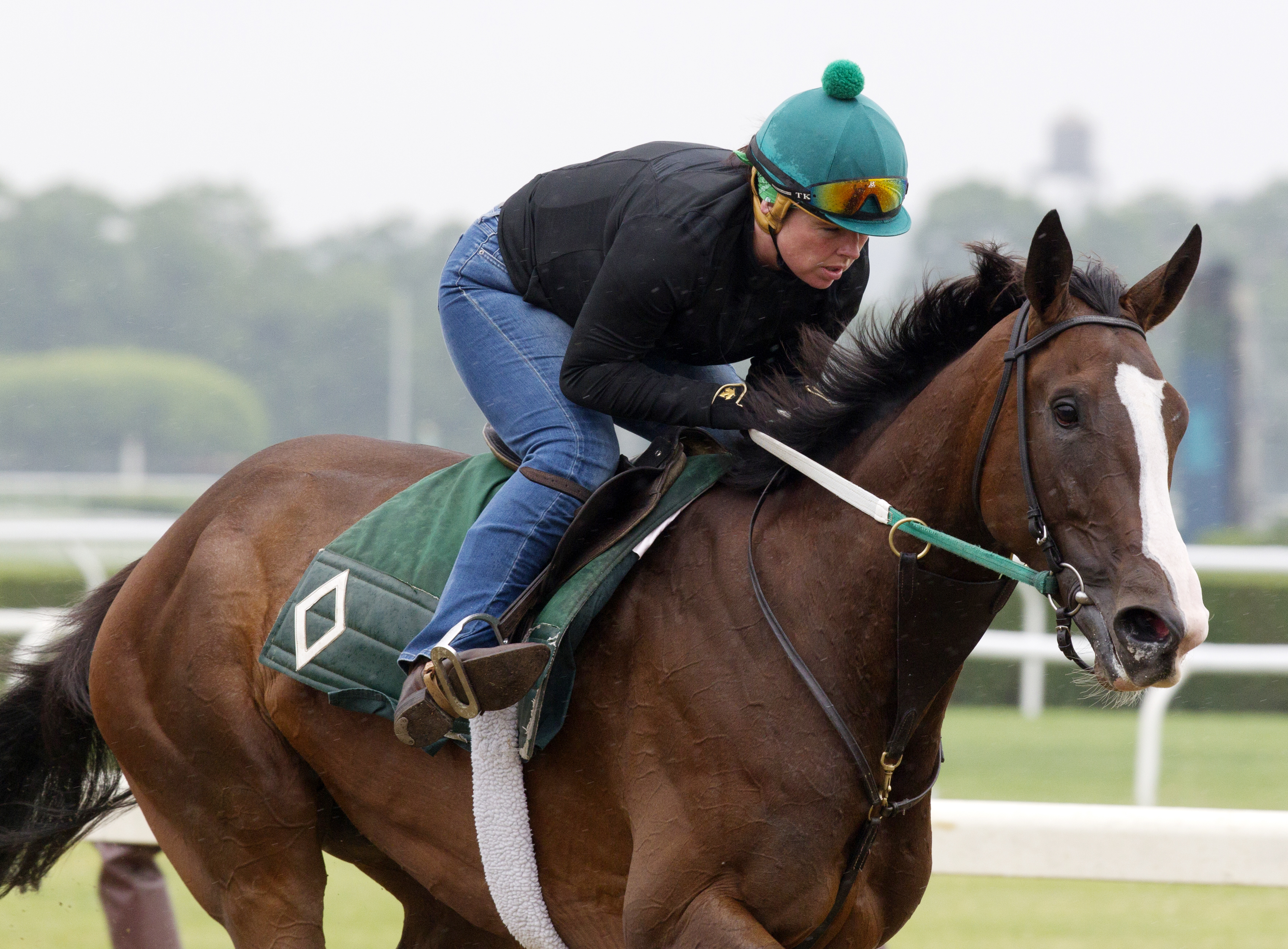 Daring Duchess trains at Belmont on June 3