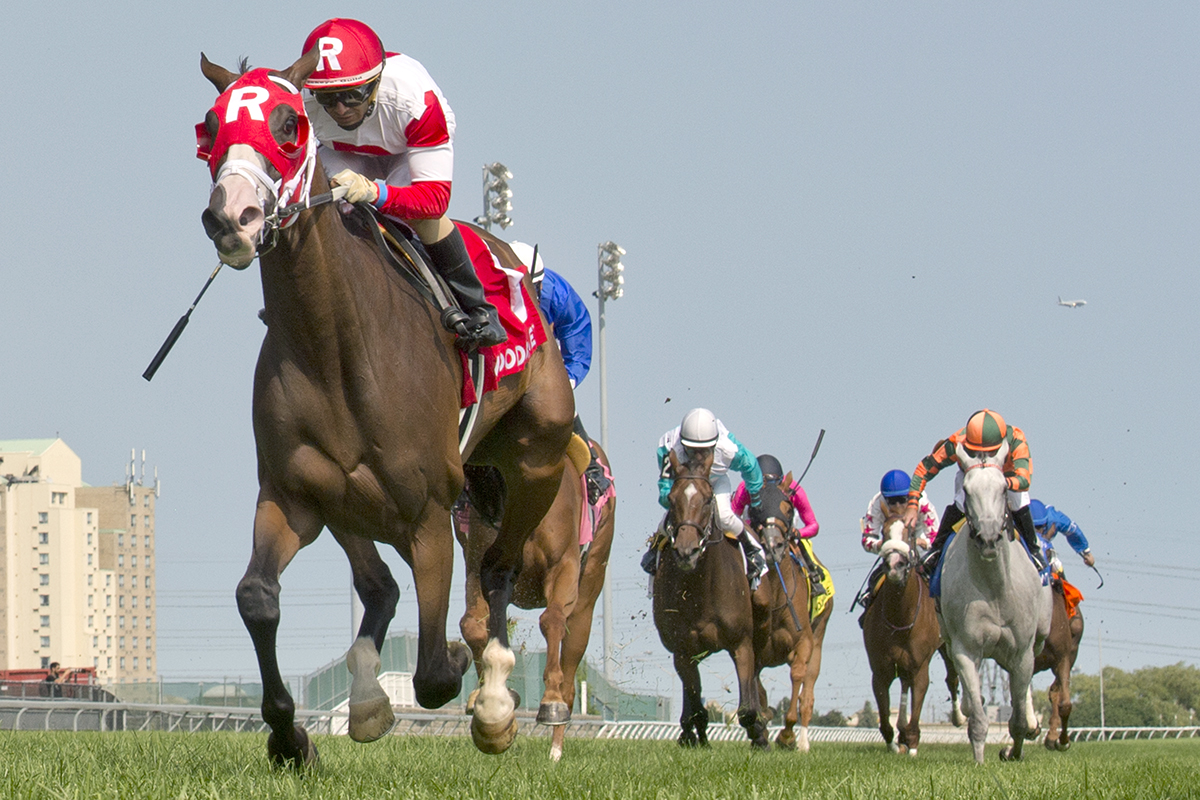 Daring Duchess wins the 2018 Flaming Page Stakes