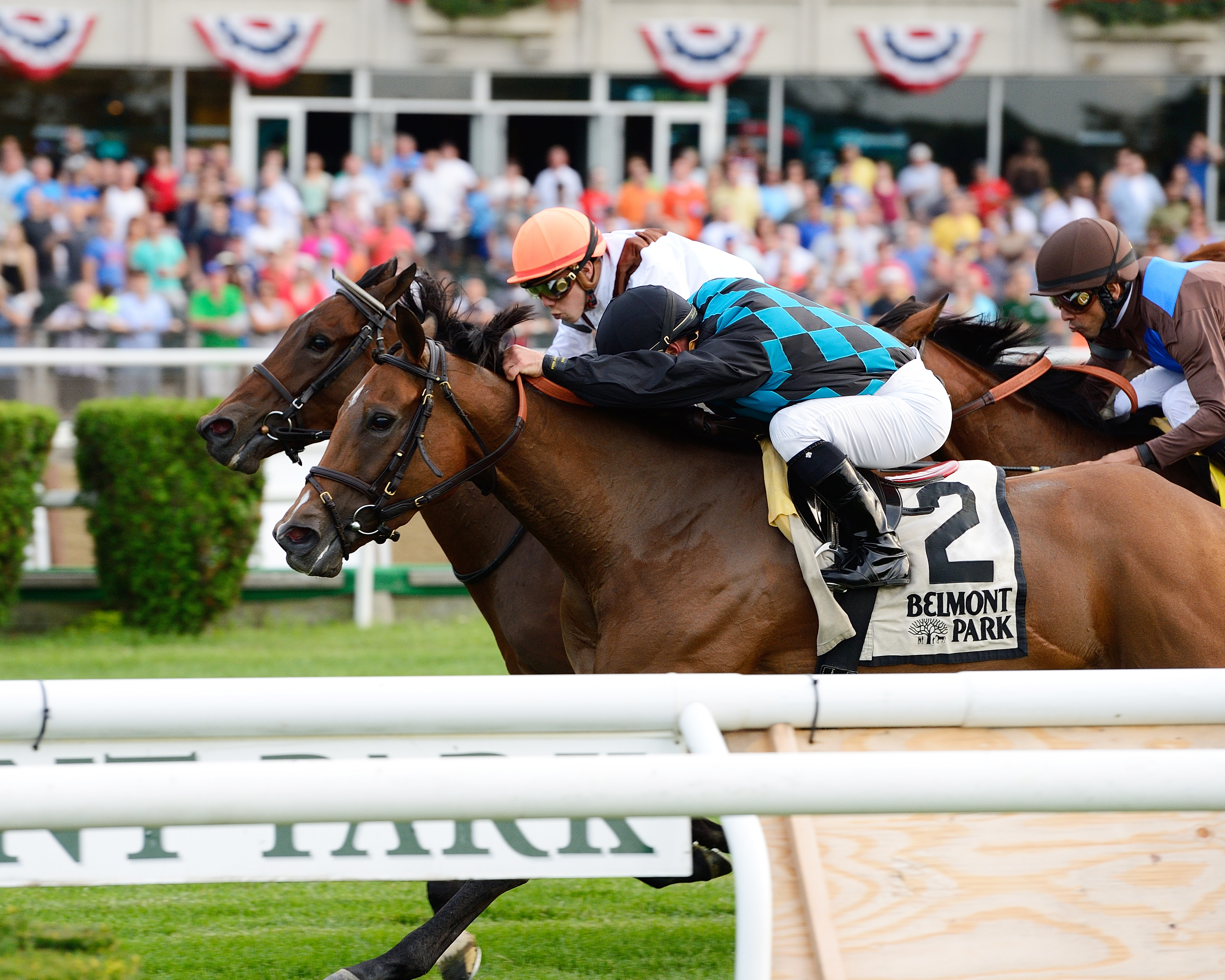 Daring Kathy wins the Perfect Sting